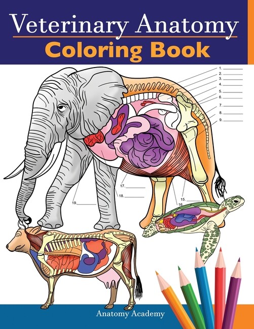 Veterinary Anatomy Coloring Book: Animals Physiology Self-Quiz Color Workbo…