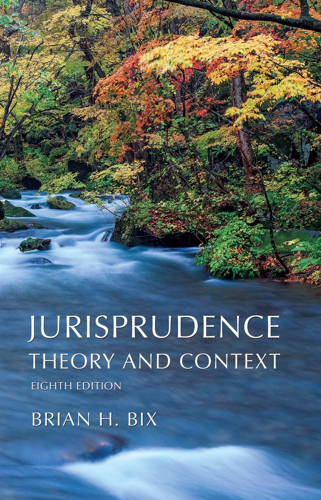 Jurisprudence: Theory and Context
