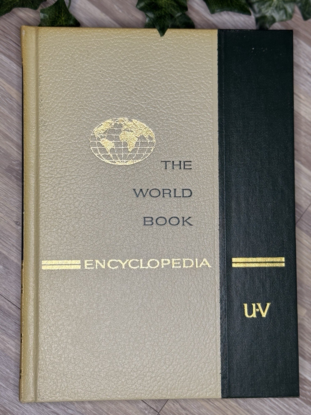 The World Book Encyclopedia Book U-V Vol 19, Published In 1966, Vintage