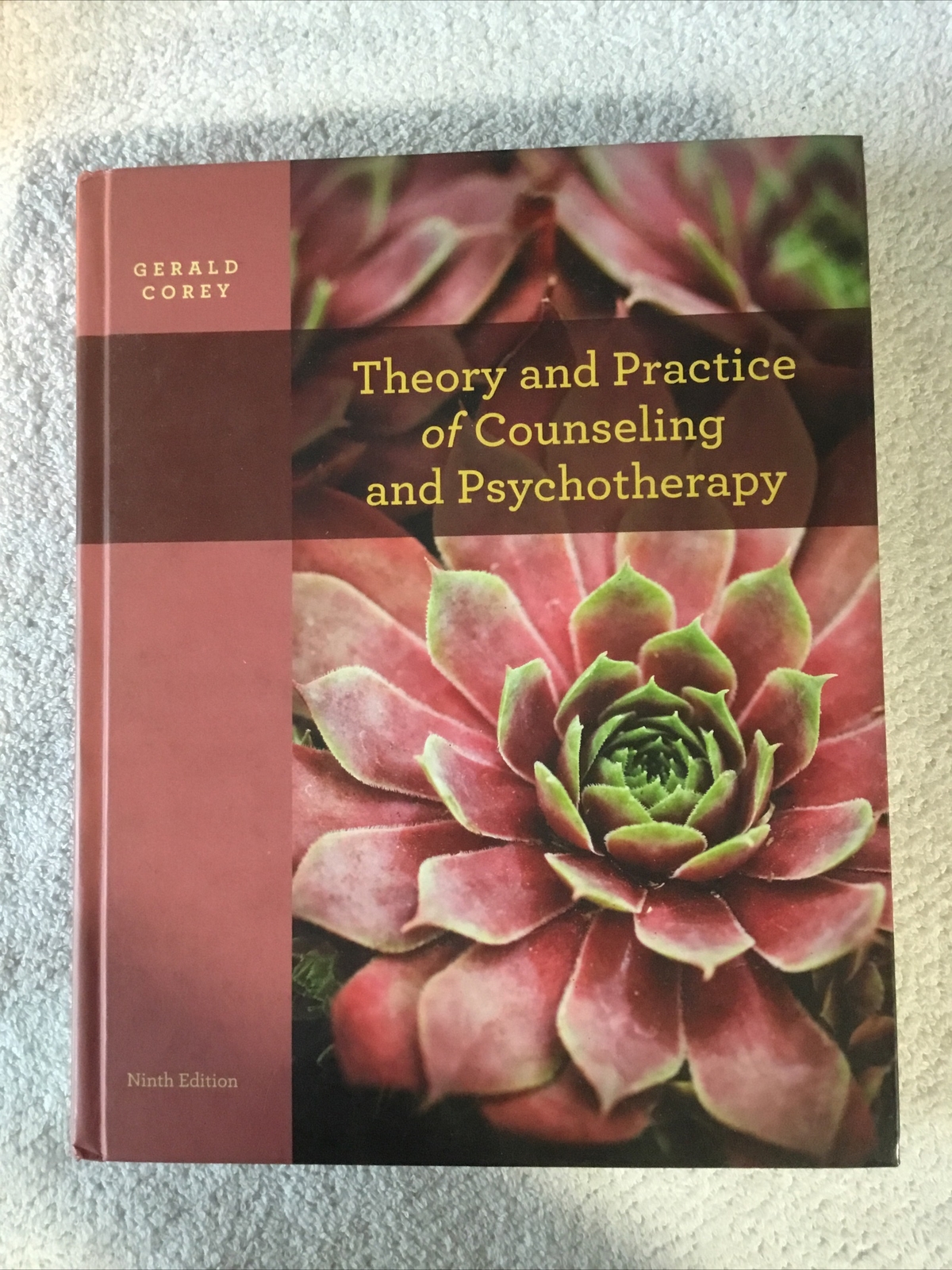 Theory And Practice Of Counseling And Psychotherapy With Access Code 14A