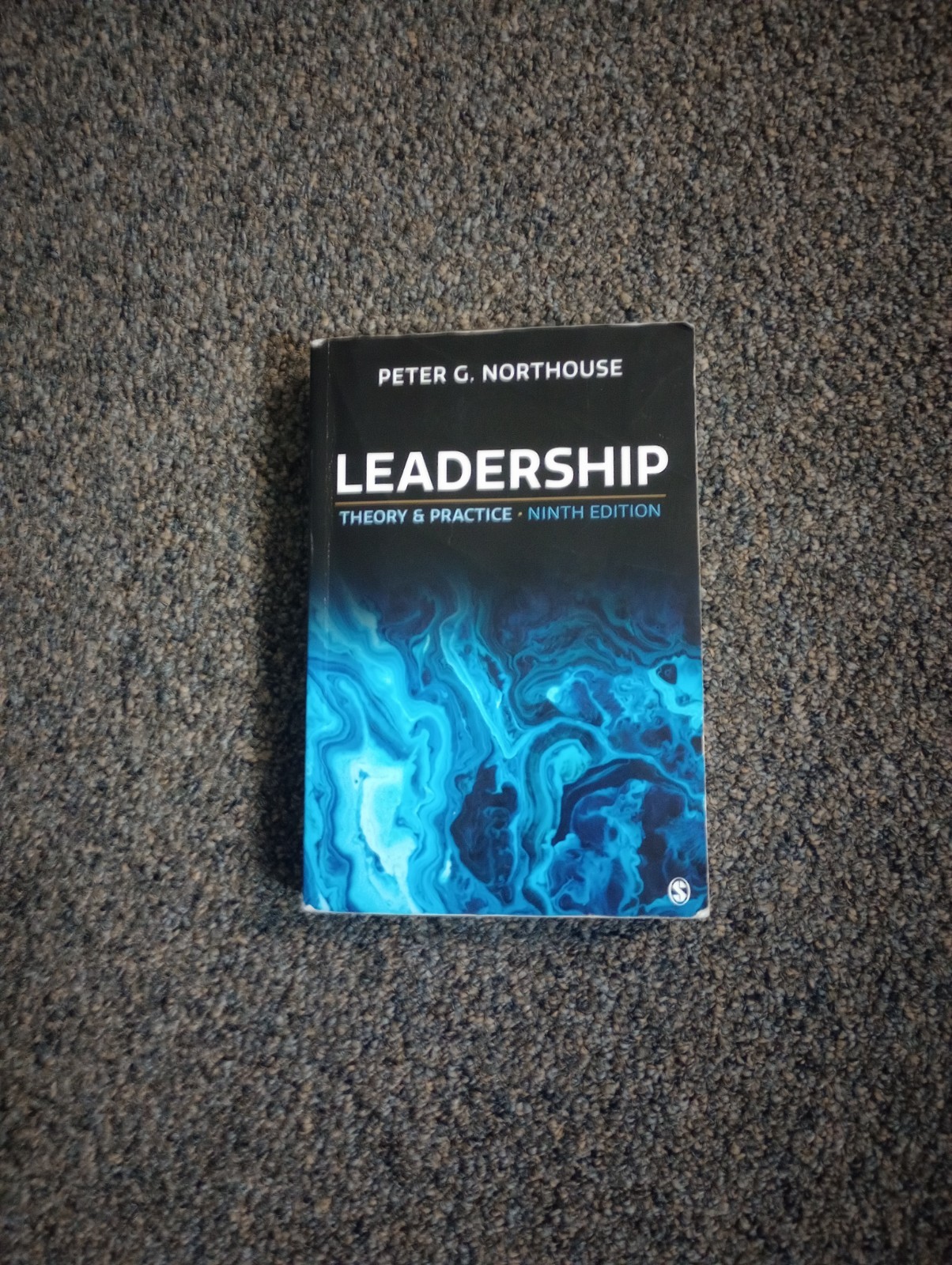 Leadership : Theory and Practice by Peter G. Northouse (2021, Trade Paperback)