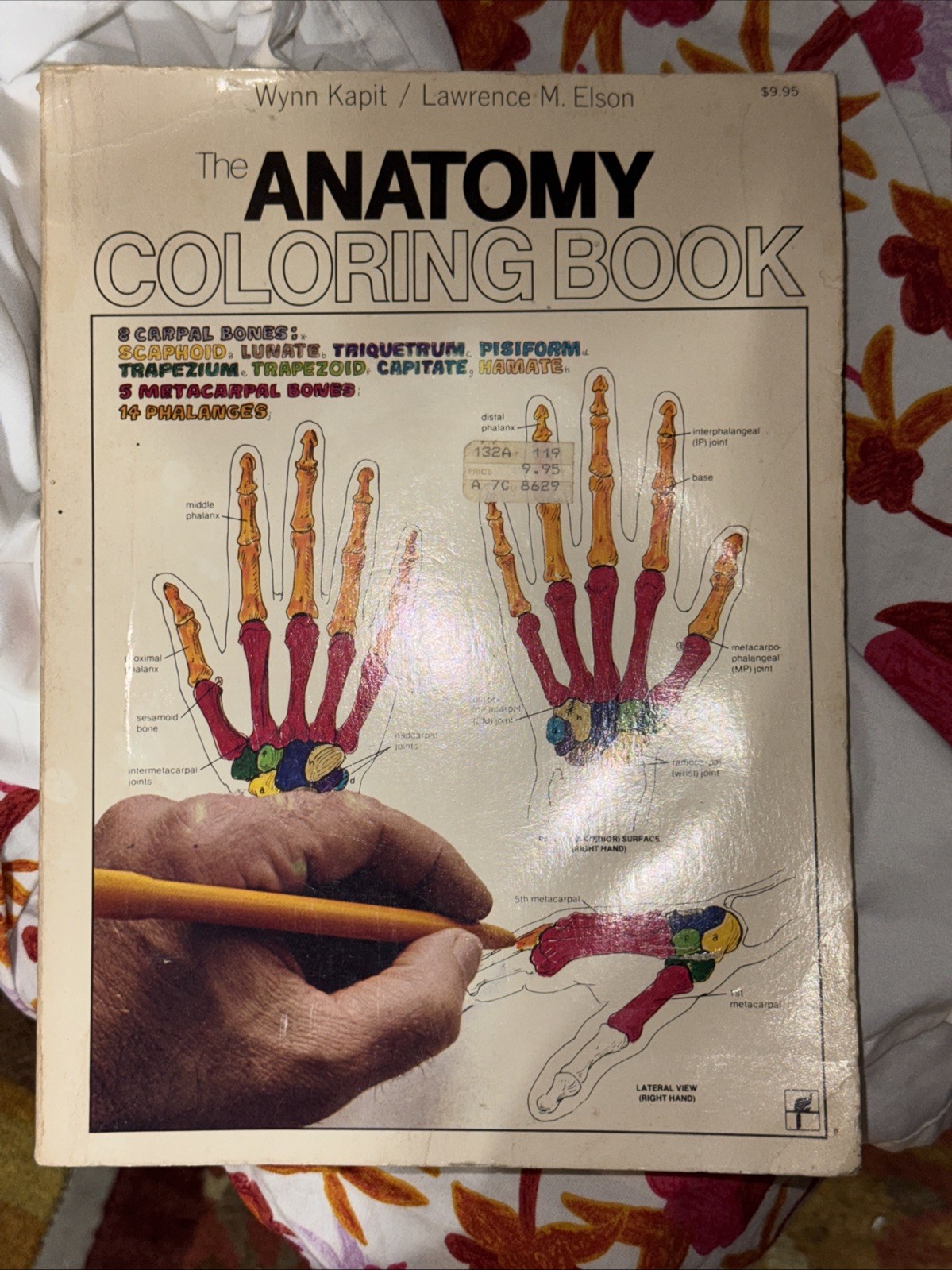 The Anatomy Coloring Book , Wynn Kapit