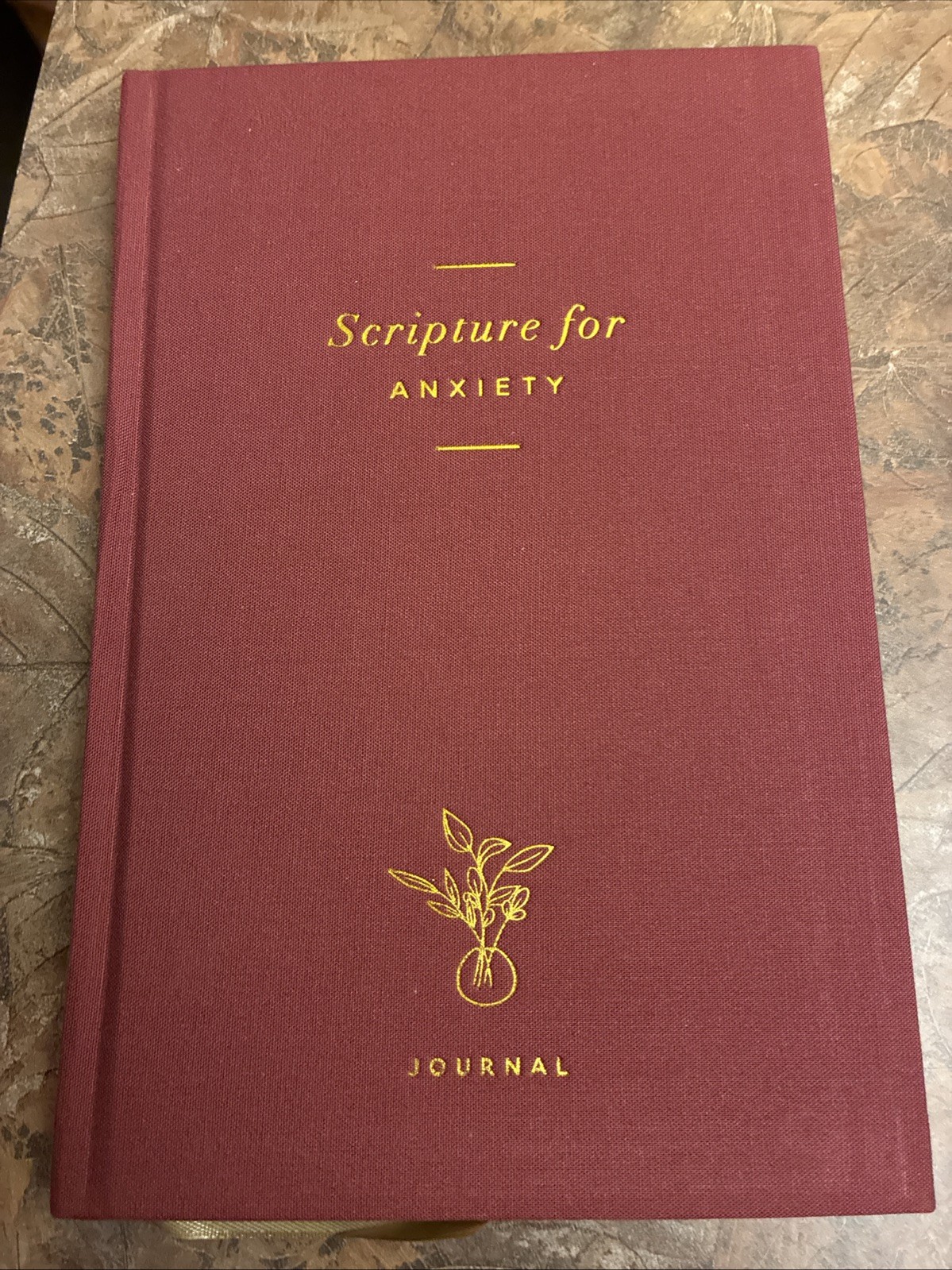 Scripture for Anxiety Journal by The Daily Grace Co. (2020, Trade Paperback)