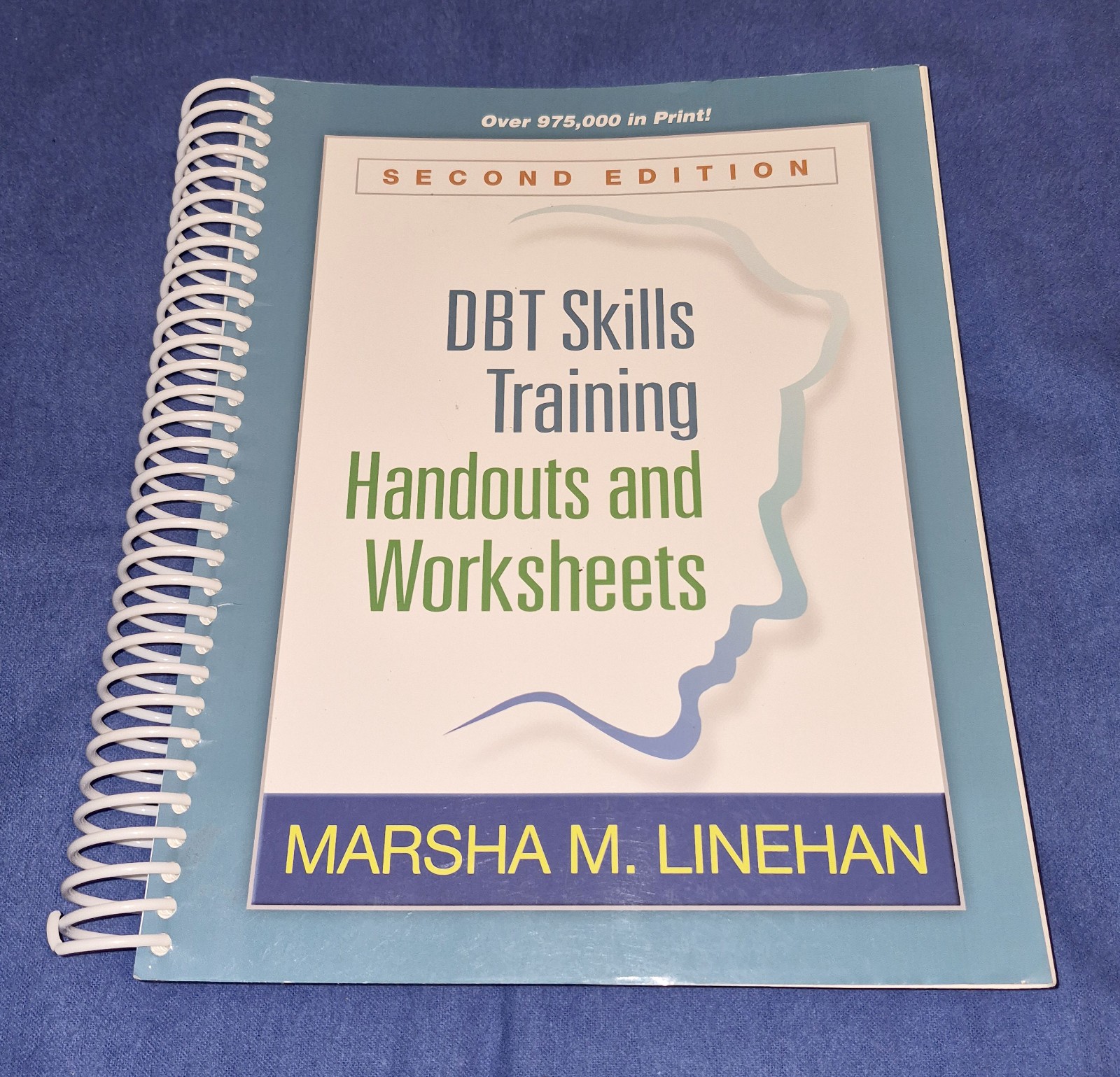 DBT Skills Training Handouts & Worksheets by Marsha M. Linehan – 2nd Edition