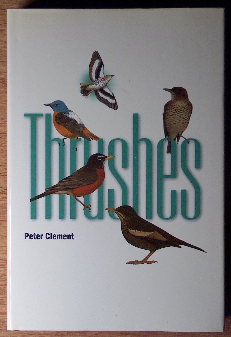 Thrushes by Peter Clement