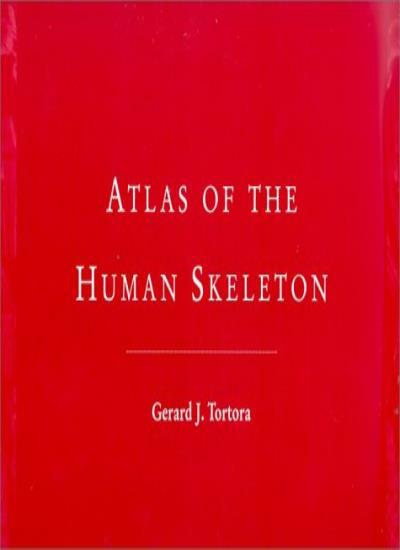 Atlas of the Human Skeleton By Tortora,Grabowski