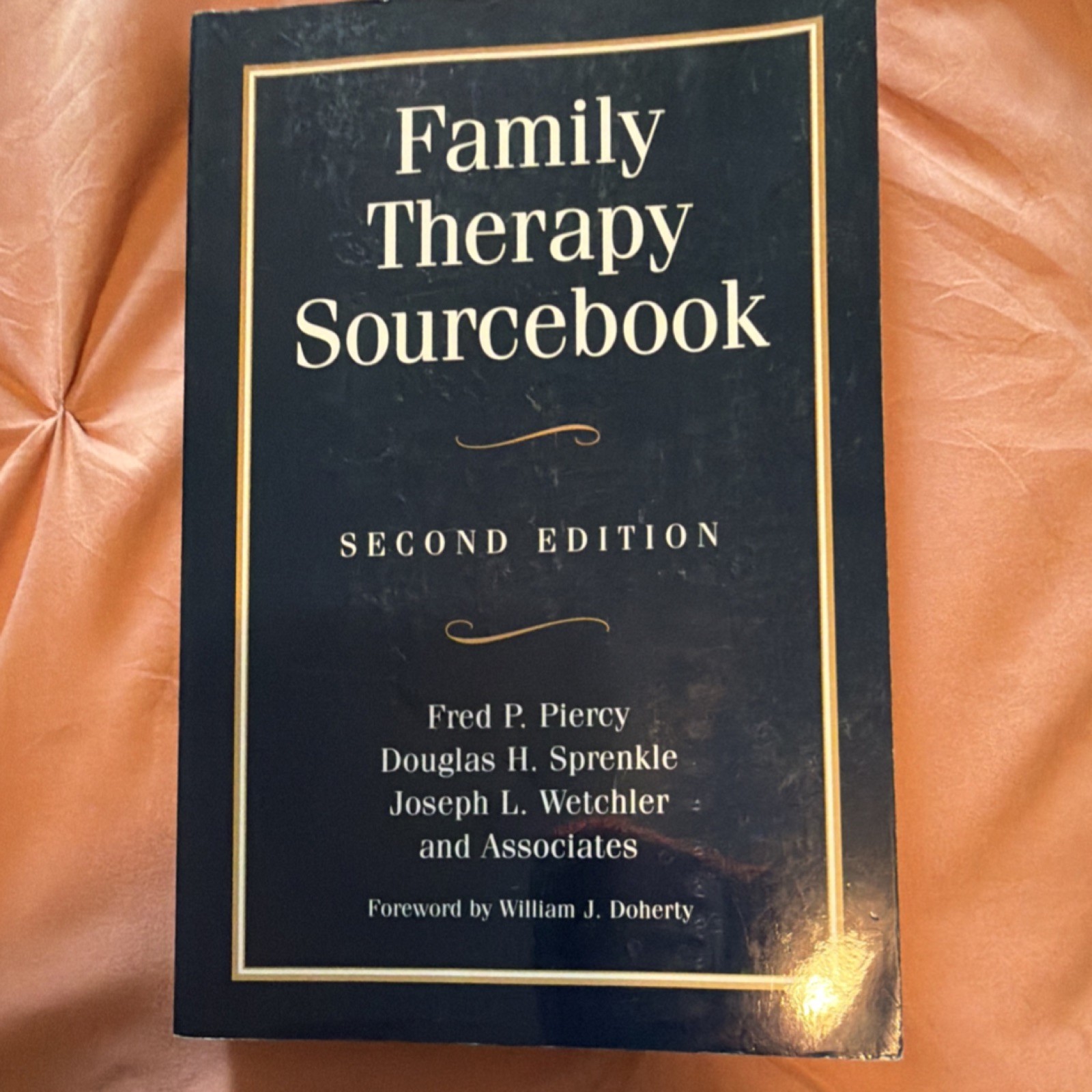 Family Therapy Sourcebook Second Edition Paperback Piercy Sprenkle Guilford