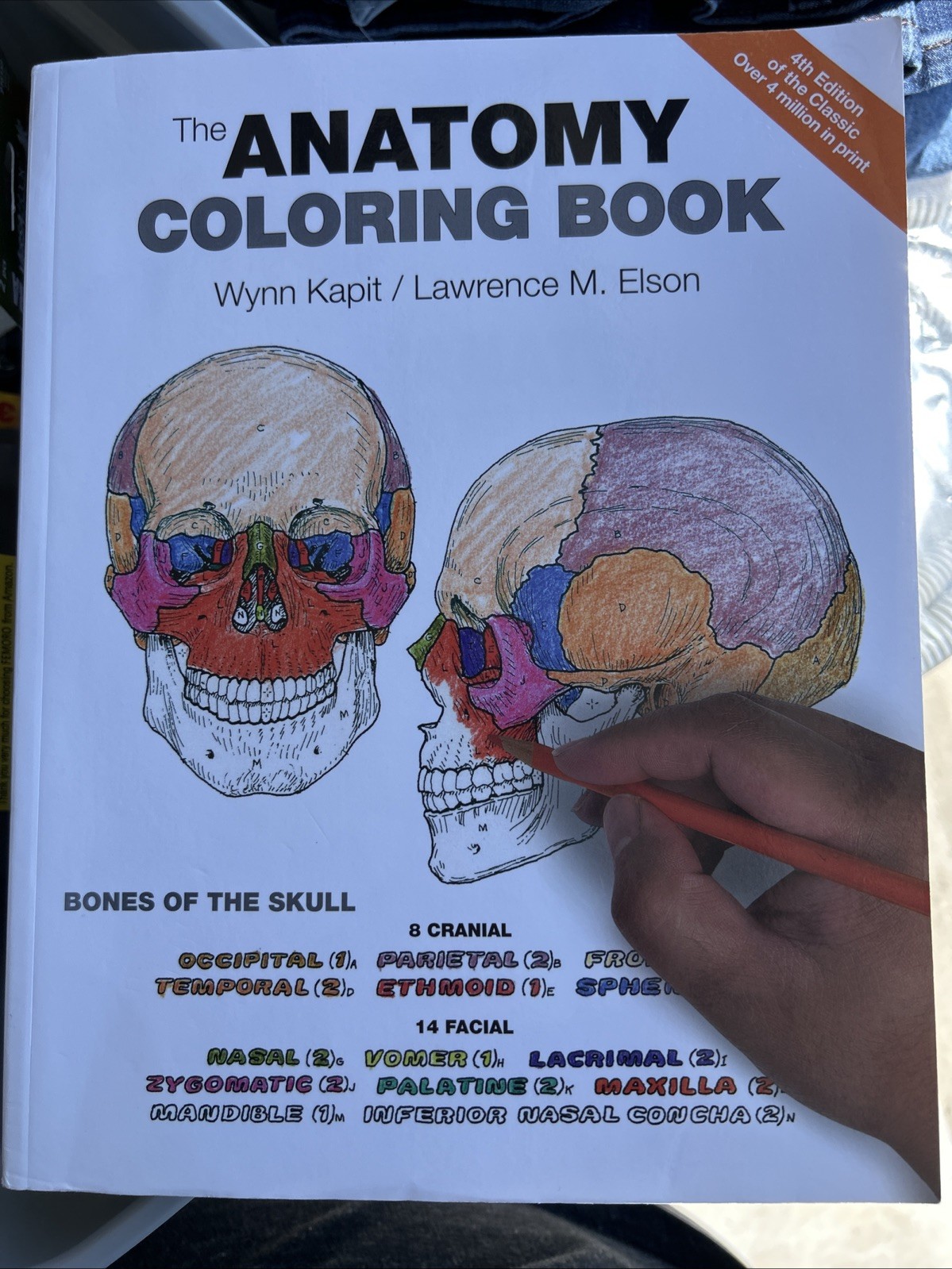 Anatomy Coloring Book by Wynn Kapit and Lawrence Elson (2013, Trade Paperback)