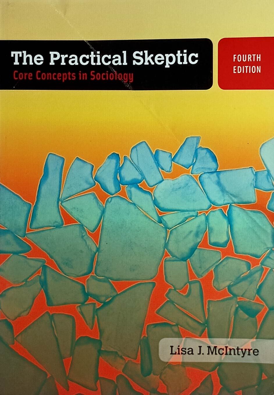 The Practical Skeptic: Core Concepts in Sociology (4th ed.) by Lisa J McIntyre