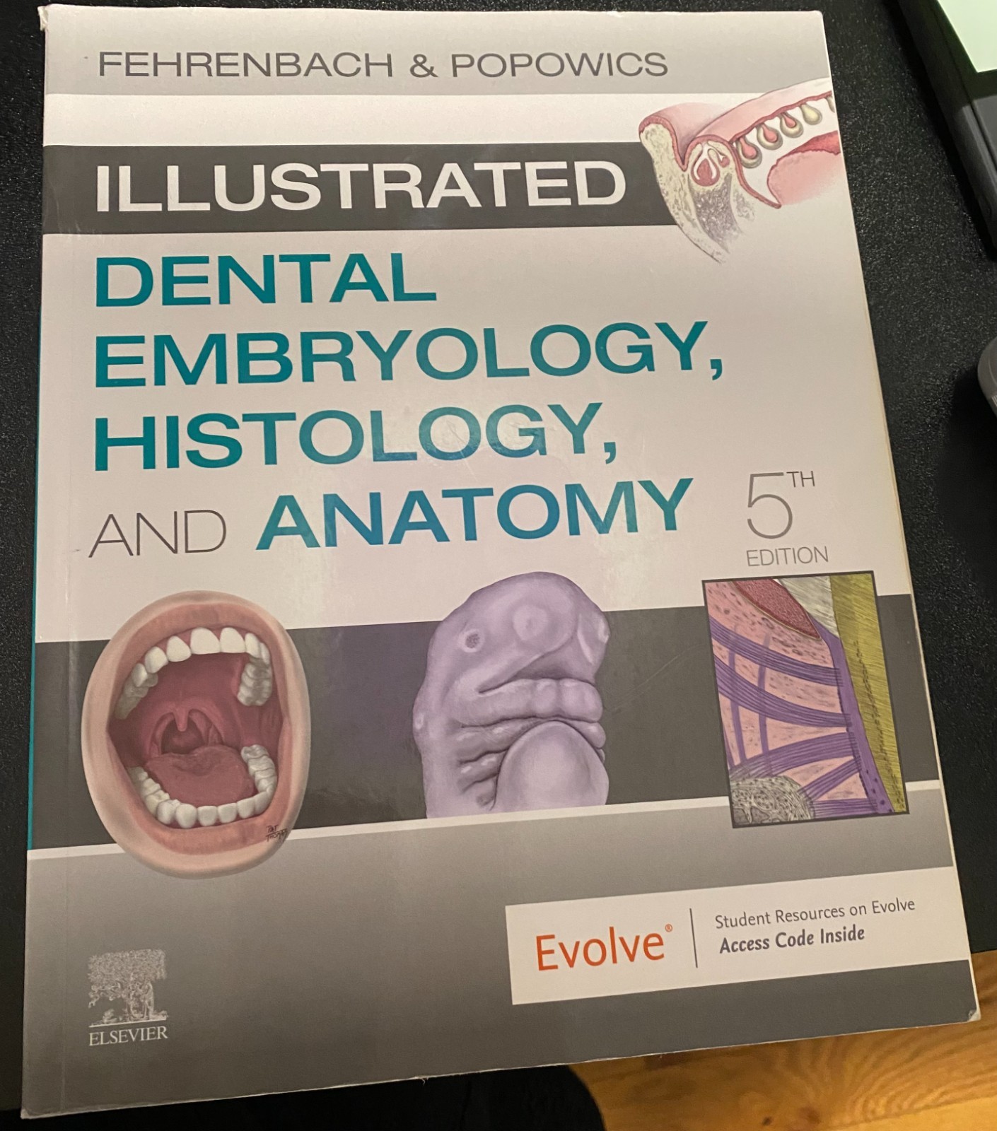 Illustrated Dental Embryology, Histology, and Anatomy by Margaret J. Fehrenbach