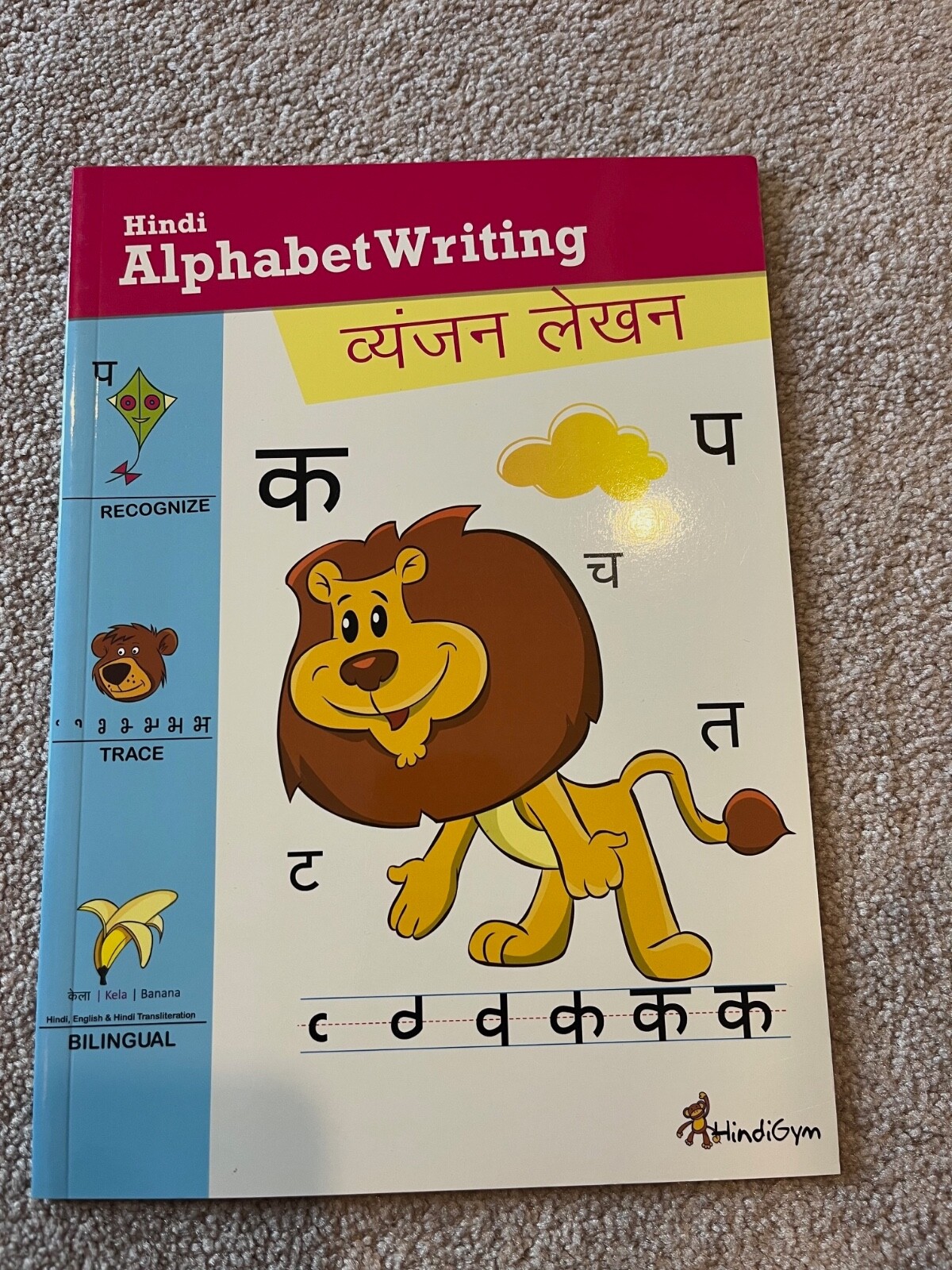 Hindi Alphabet Writing : Vyanjan Lekhan by Aarti Chandnani (2009, Trade…