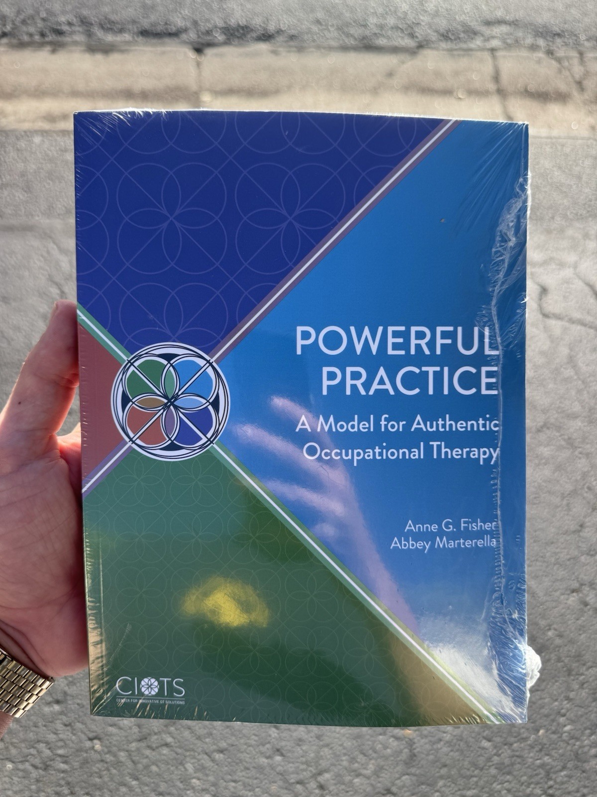 Powerful Practice A Model For Authentic Occupational Therapy