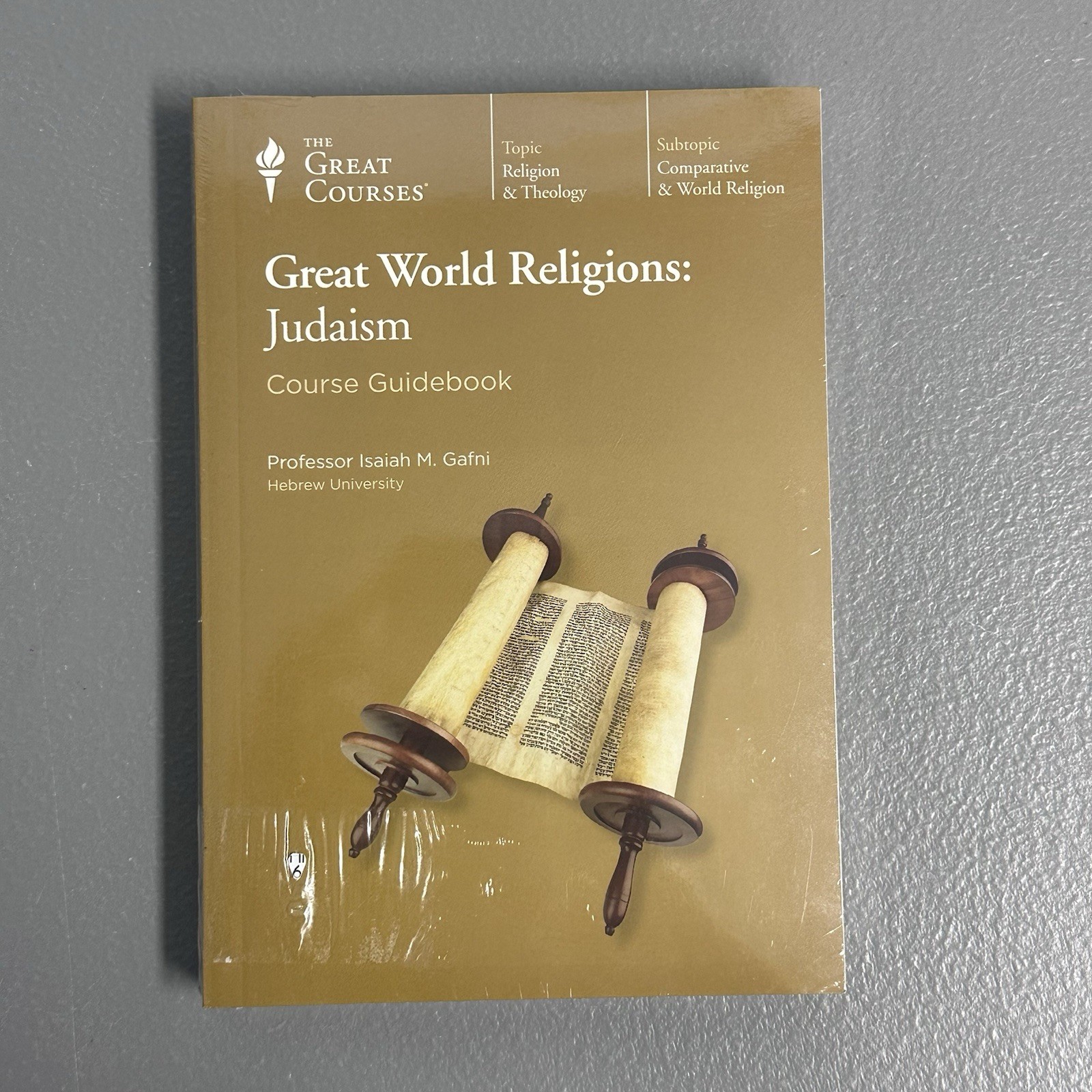 Great World Religions : Judaism by Isaiah Gafni (2003, Hardcover / DVD) New