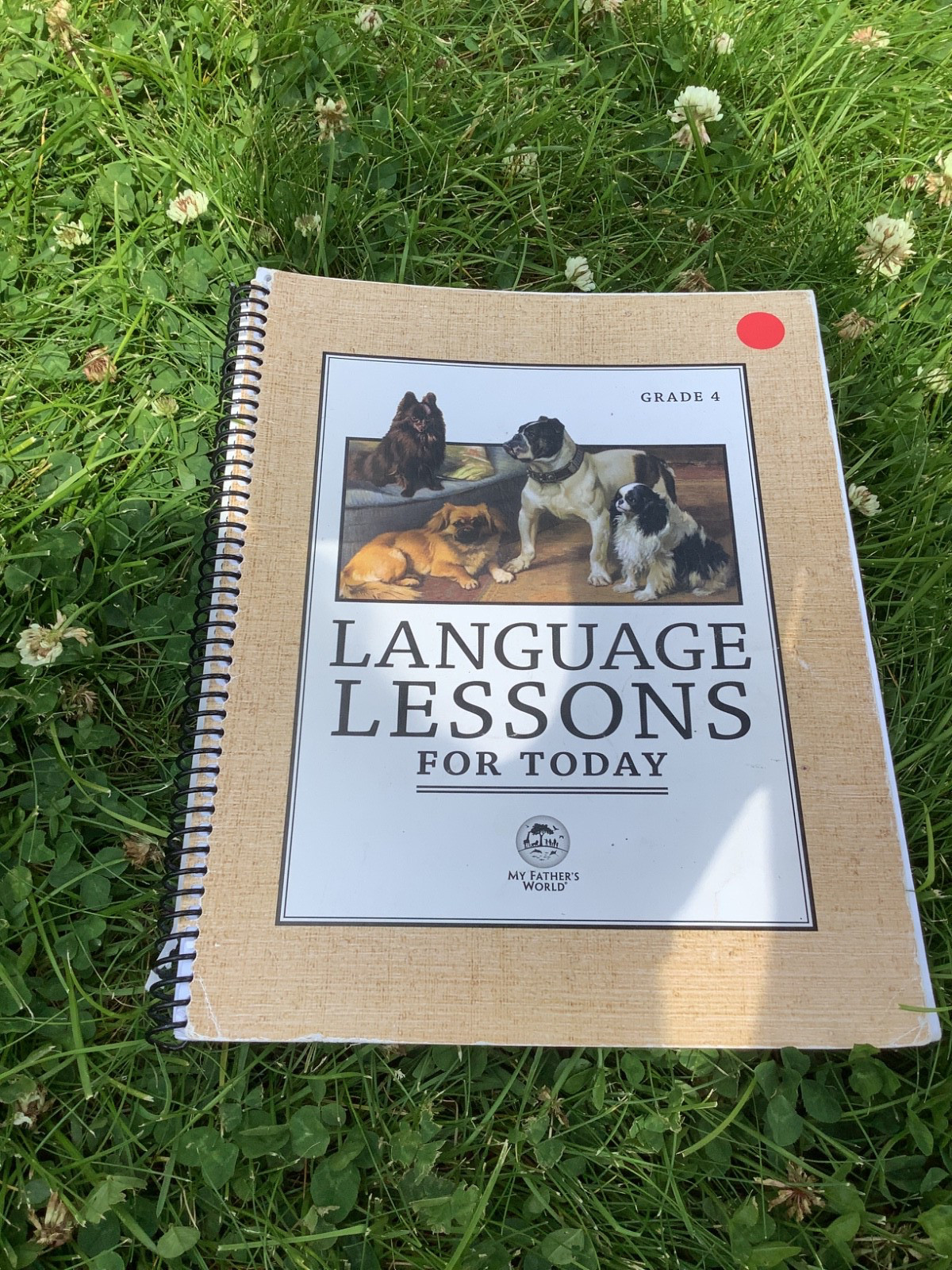 Language Lessons for Today Grade 4 My Father’s World Excellence Condition