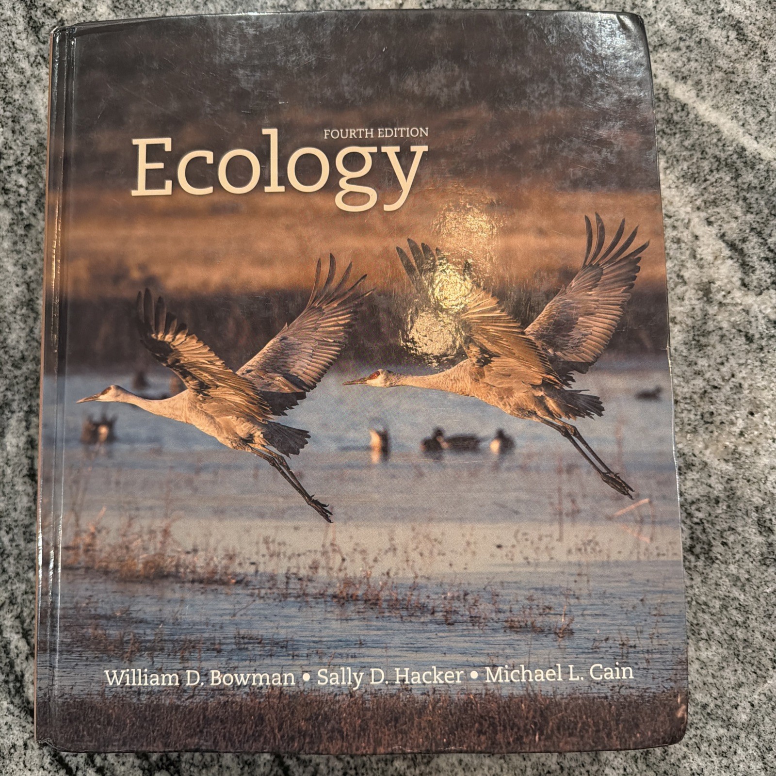 Ecology, Fourth Edition – Hardcover By Bowman, William D. – GOOD
