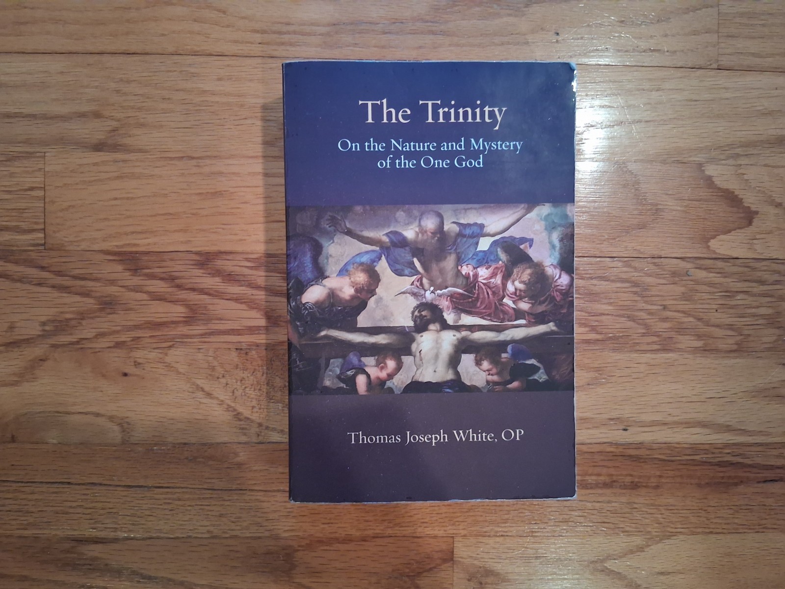 The Trinity: On the Nature and Mystery of the One God by Thomas White, Paperback