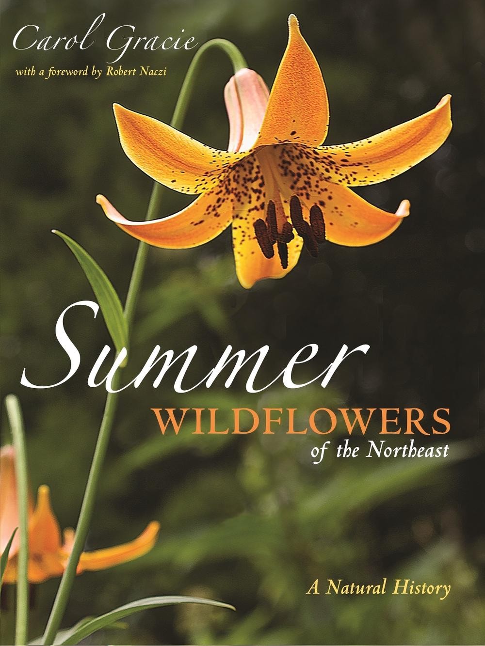Summer Wildflowers of the Northeast: A Natural History by Carol Gracie (English)