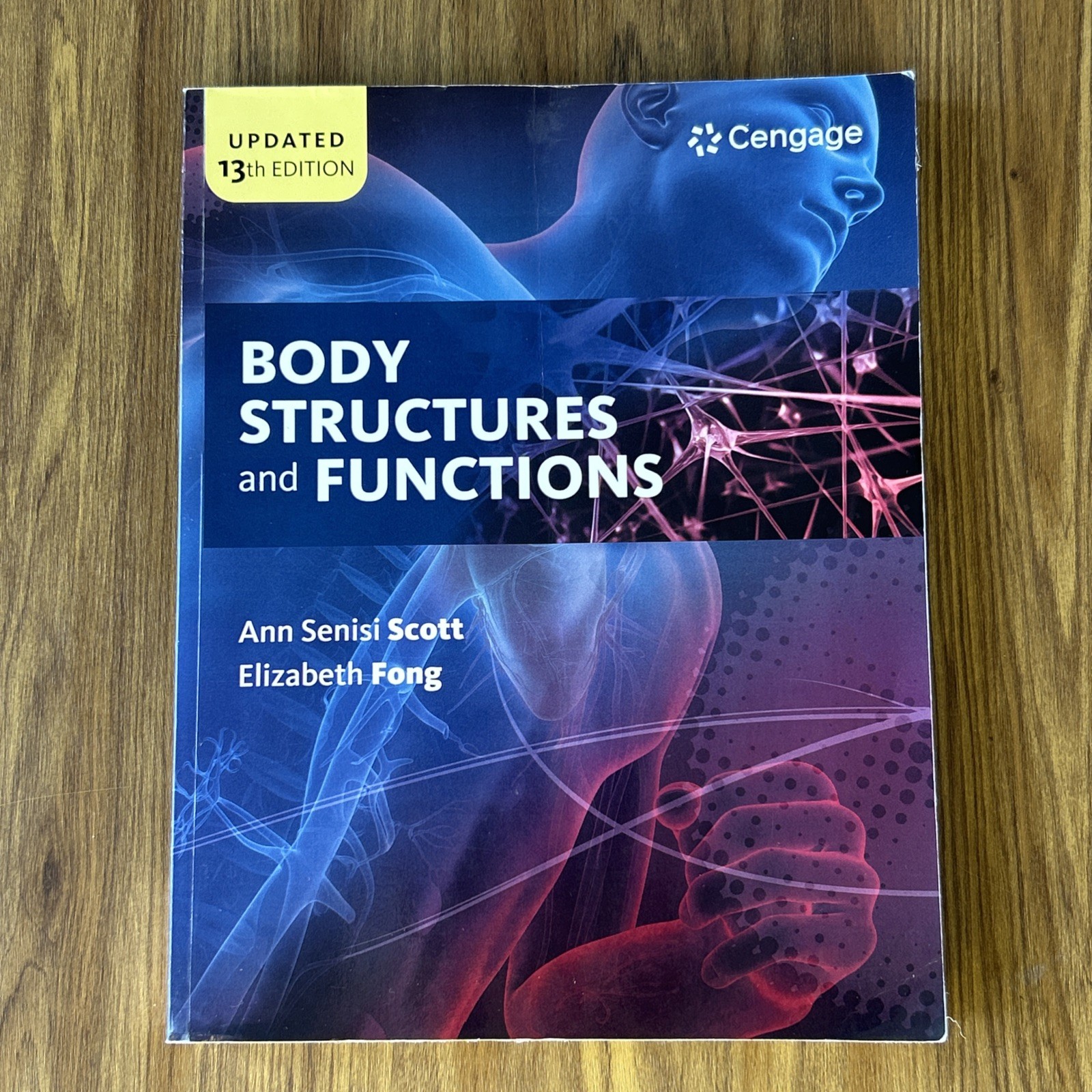 Body Structures and Functions Updated 13th Edition Cengage Paperback Textbook