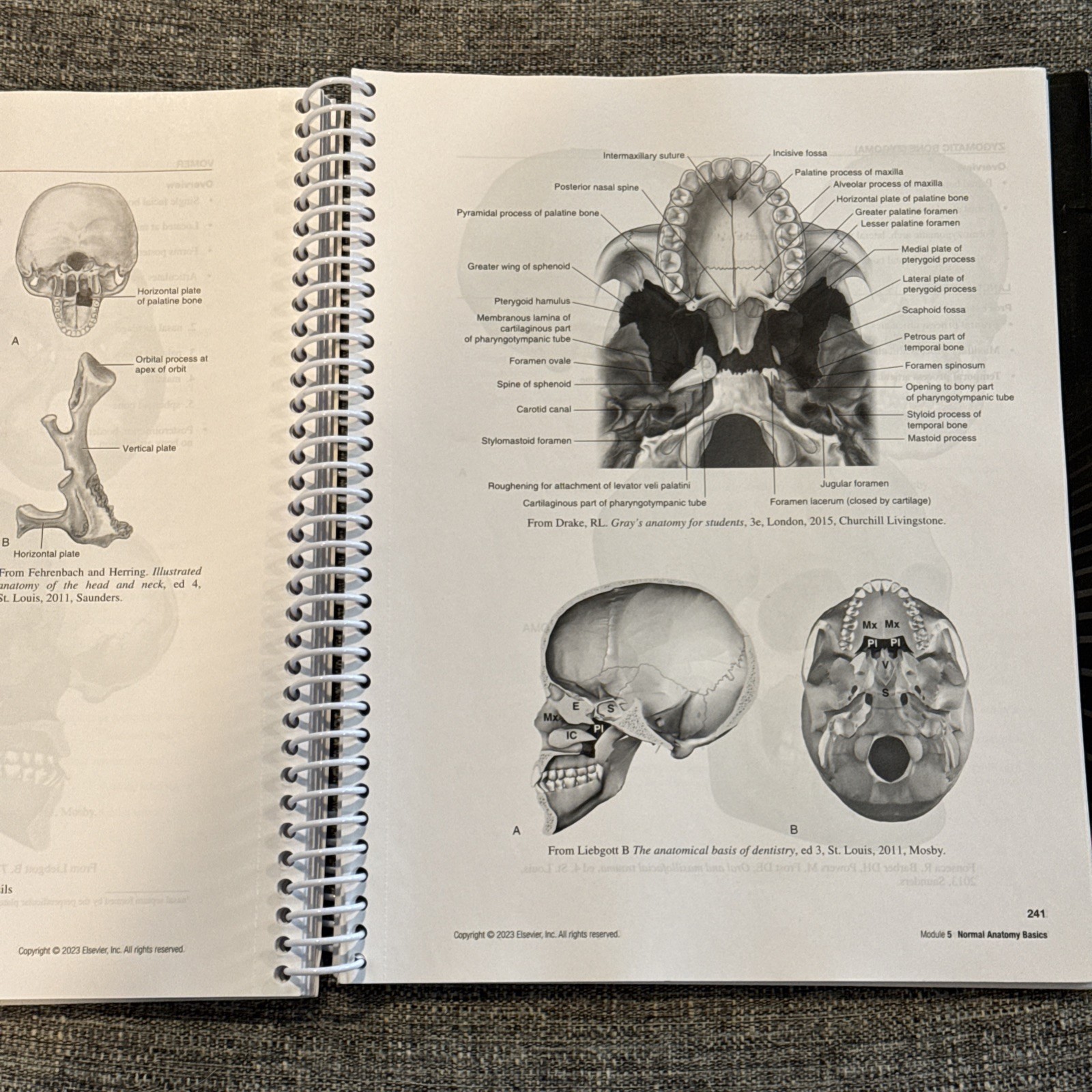 Workbook and Laboratory Manual for Dental Radiography: Principles and Techniques