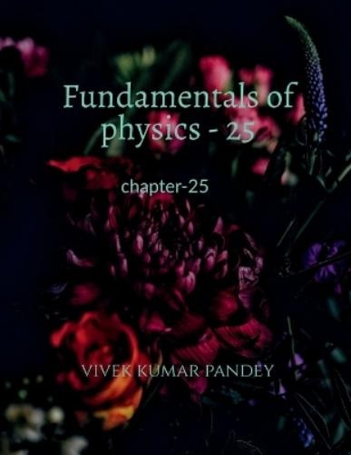 Vivek Kumar Fundamentals of physics – 25 (Paperback) (UK IMPORT)
