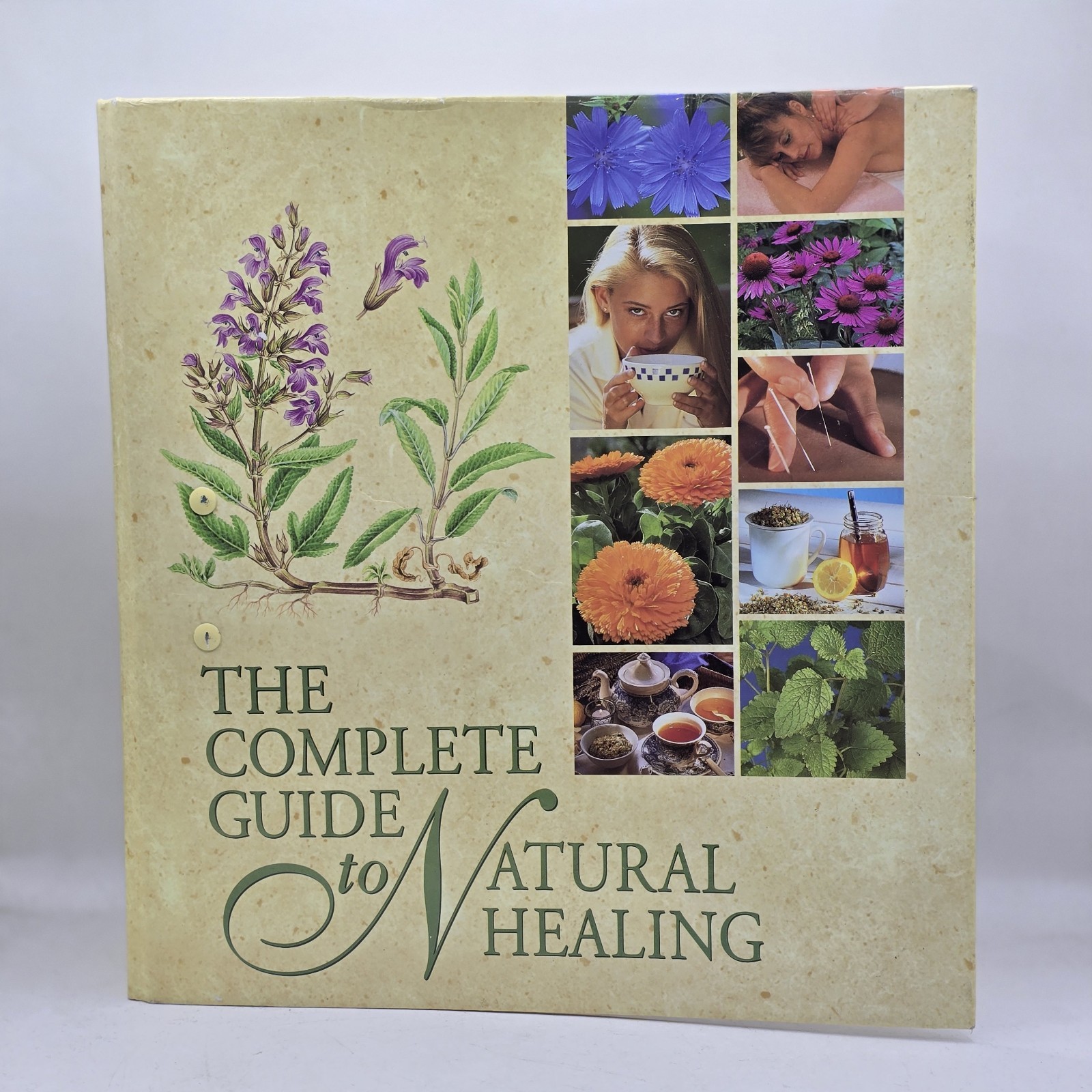 The Complete Guide to Natural Healing (1998, Hardcover Ringbound Binder)