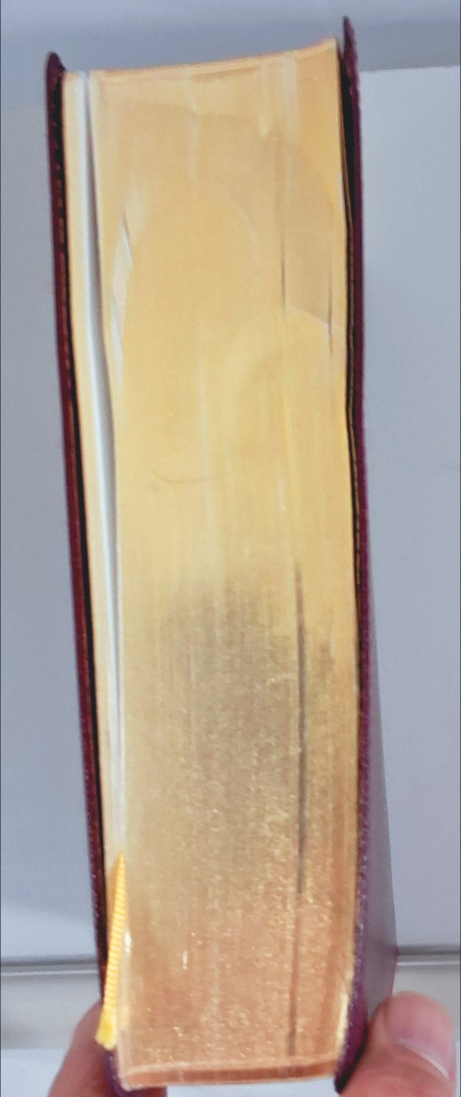 Douay-Rheims HOLY Bible – Standard Size by Richard Challoner (Burgundy Leather)