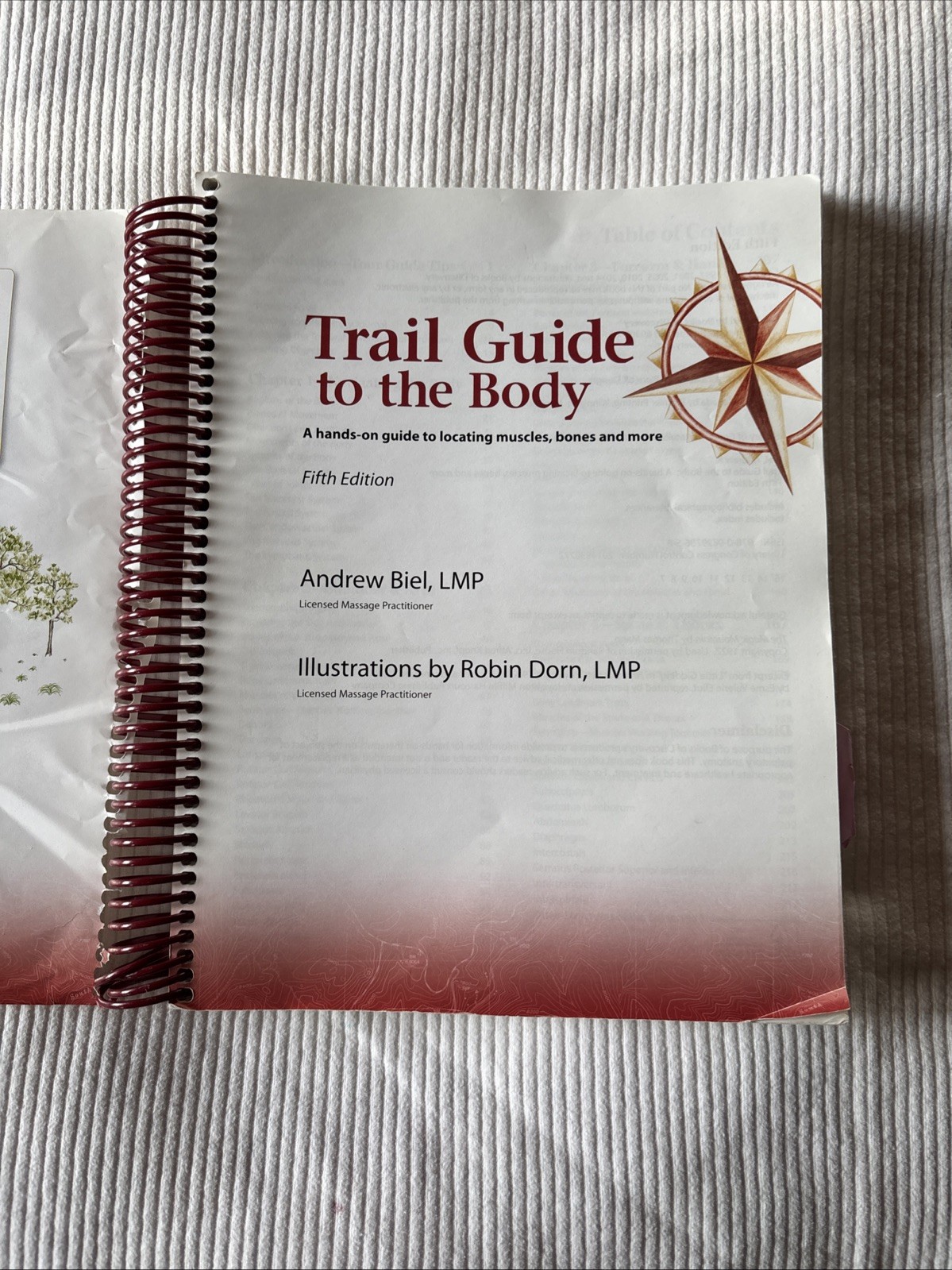 Trail Guide to the Body 5e : A Hands-On Guide to Locating Muscles, Bones Fifth
