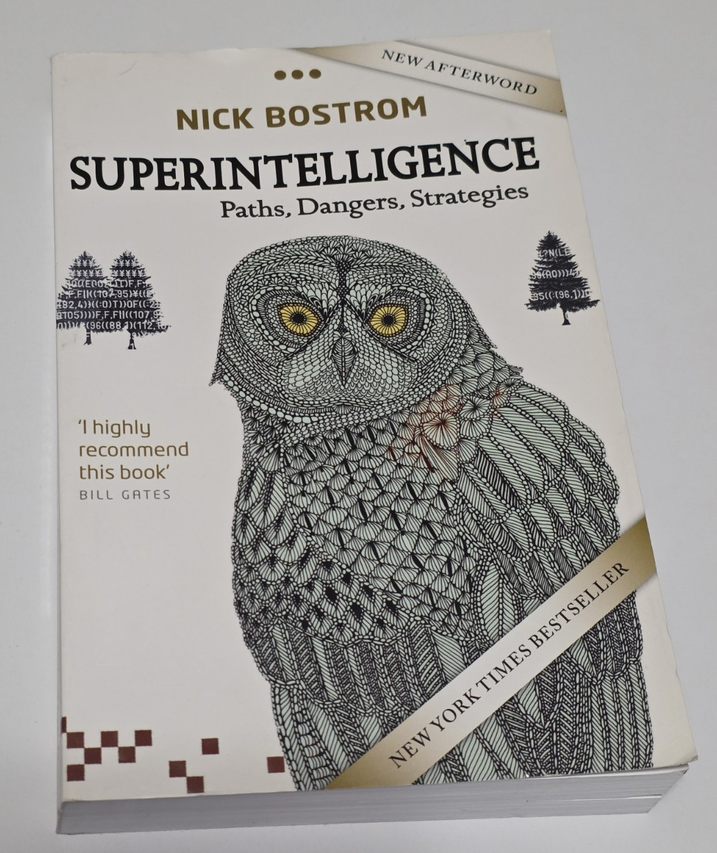 Superintelligence : Paths, Dangers, Strategies by Nick Bostrom 2016 Book