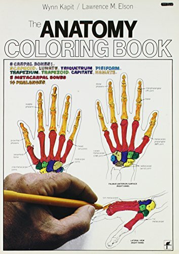 The Anatomy Coloring Book by Elson, L. M. Paperback Book The Fast Free Shipping
