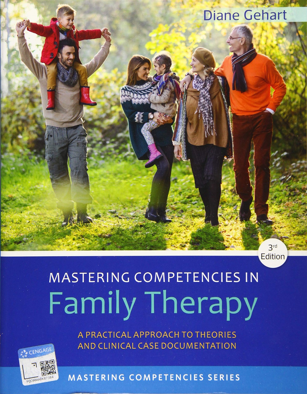 Mastering Competencies in Family Therapy: A Practical Approach to Theories a…