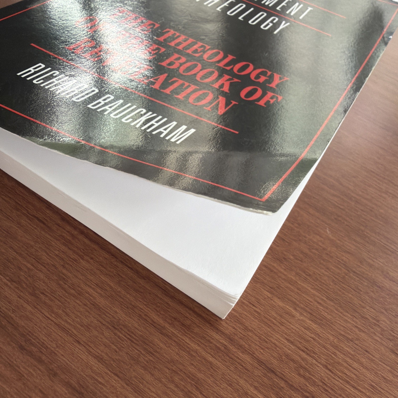 CLEAN COPY – Theology of the Book of Revelation by Richard Bauckham