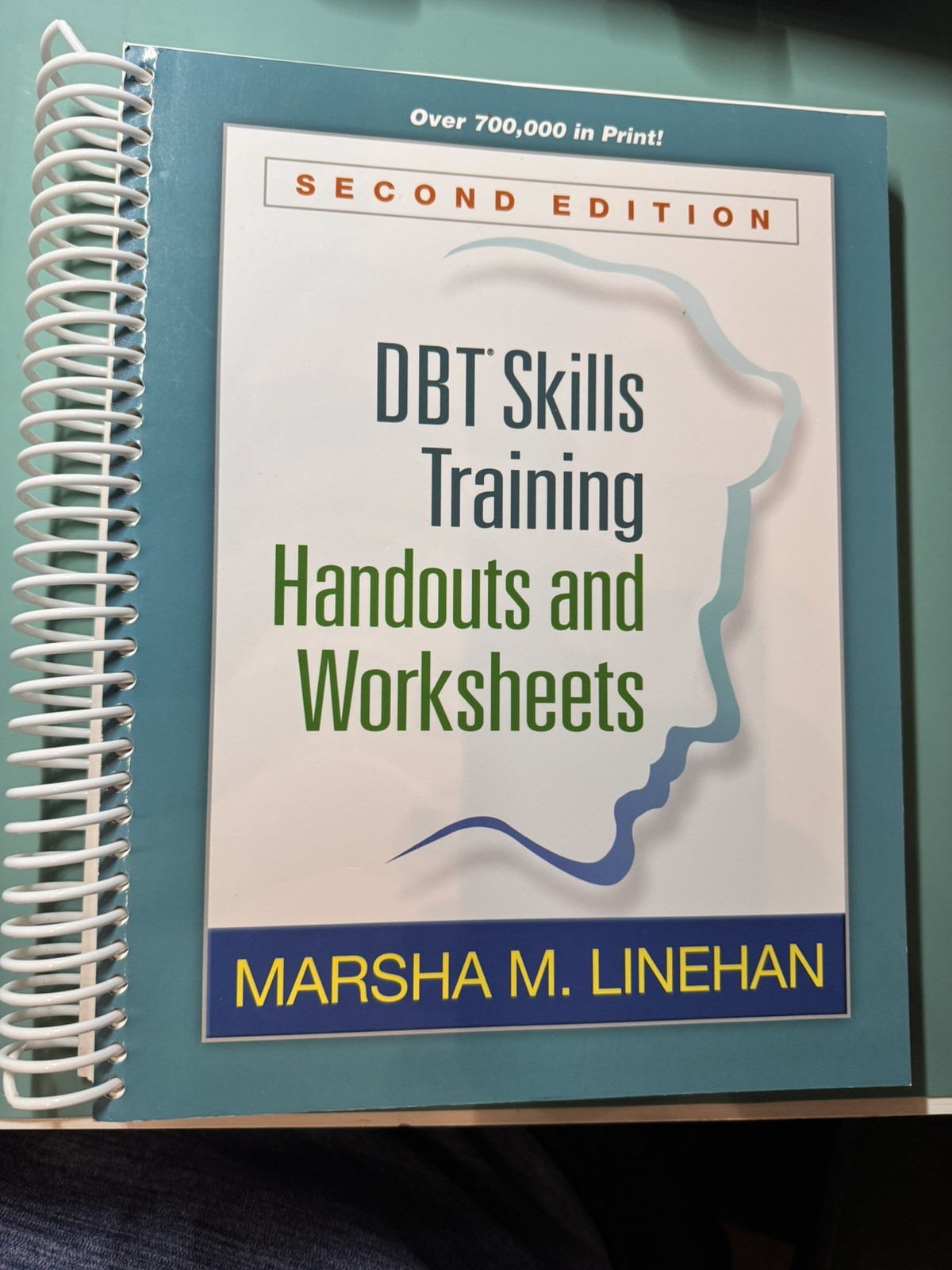 DBT Skills Training Handouts and Worksheets – LİKE NEW