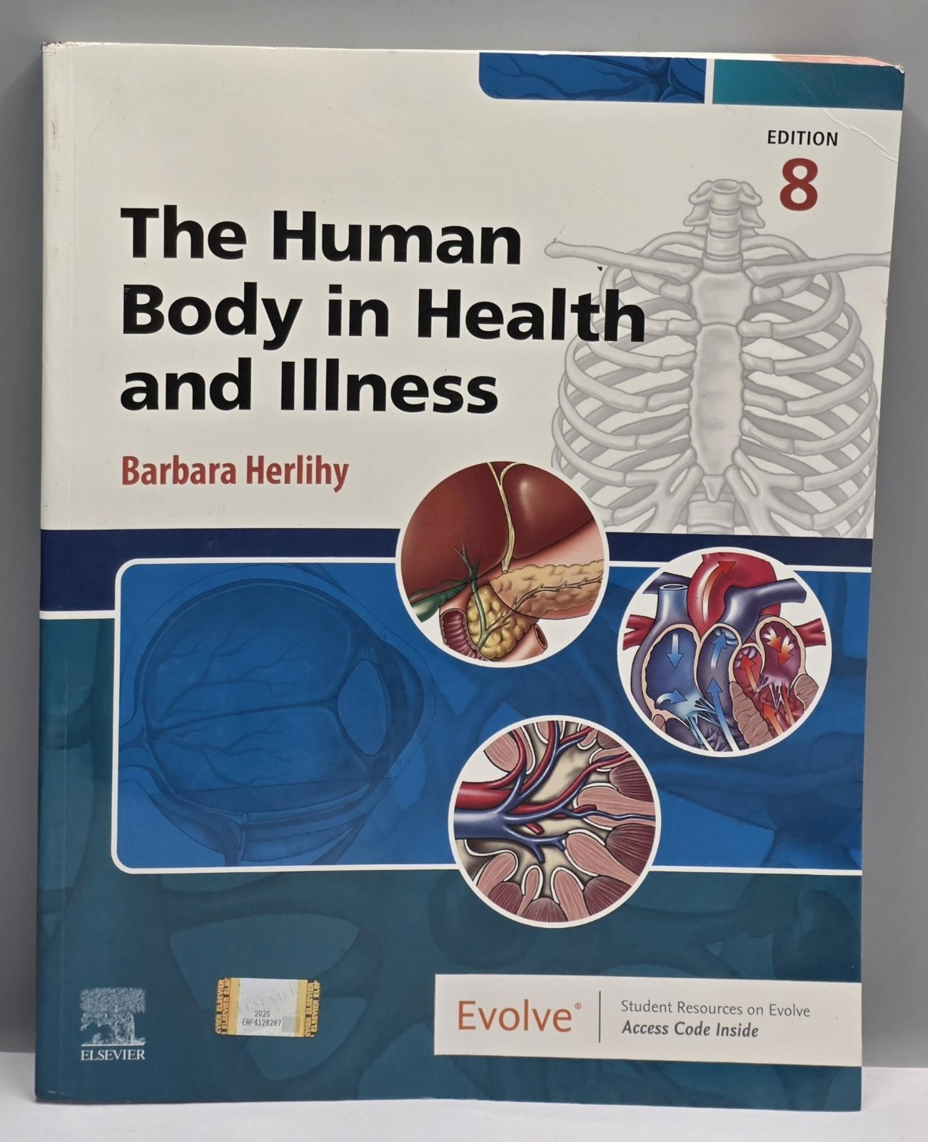 The Human Body in Health and Illness Paperback Barbara Herlihy