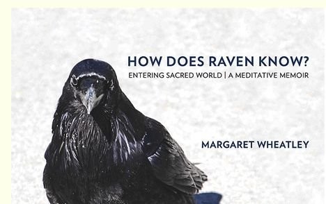 2014 PB How Does Raven Know? by Margaret J. Wheatley