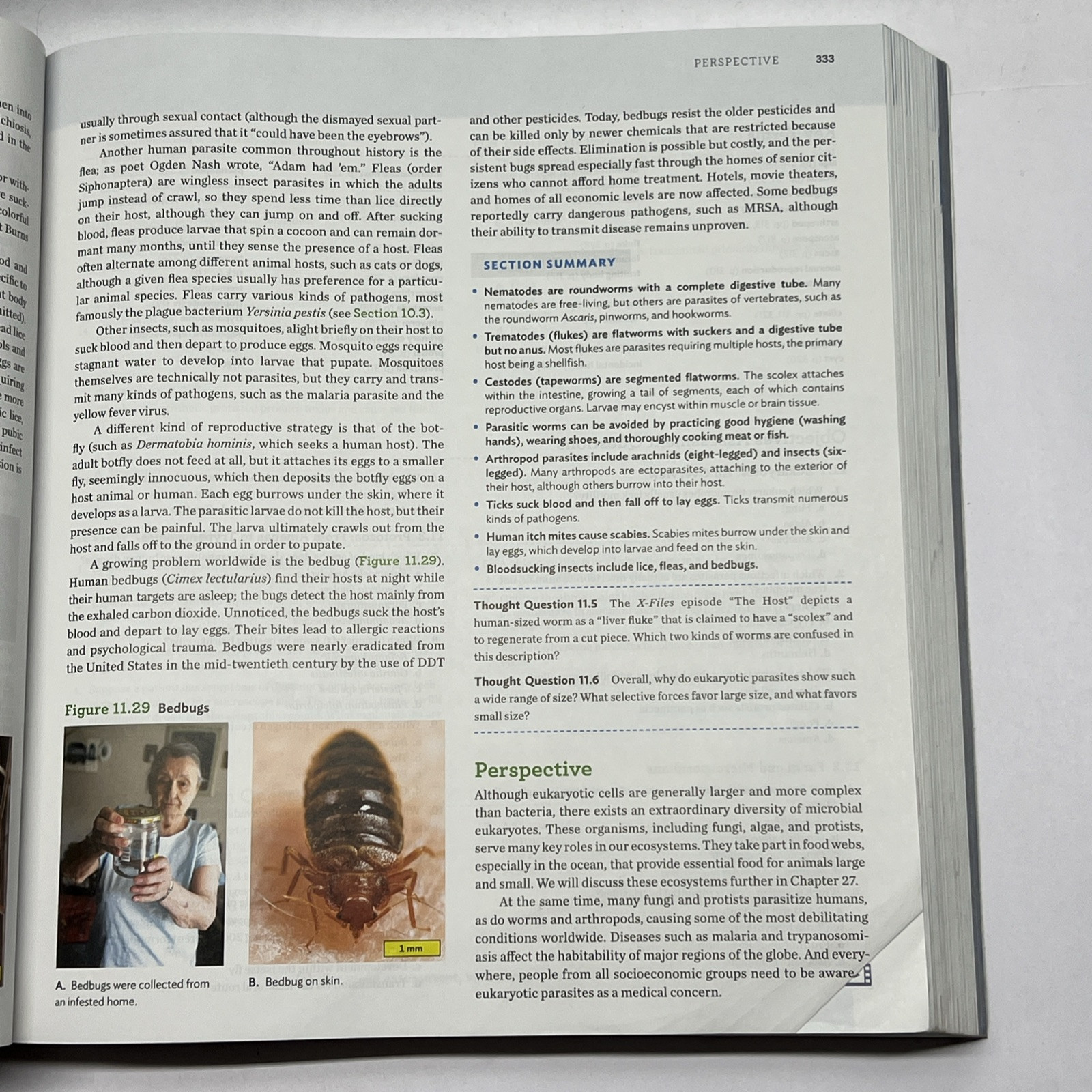 Microbiology: The Human Experience – Paperback, by Foster John W.