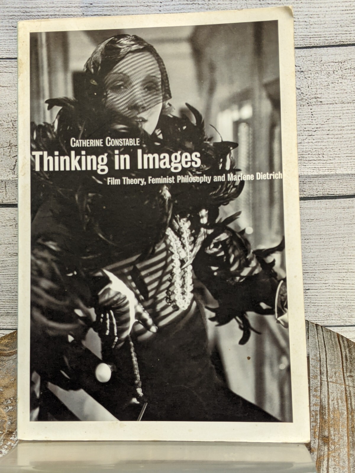 Thinking In Images: Film Theory, Feminist Philosophy Catherine Constable 2005 PB