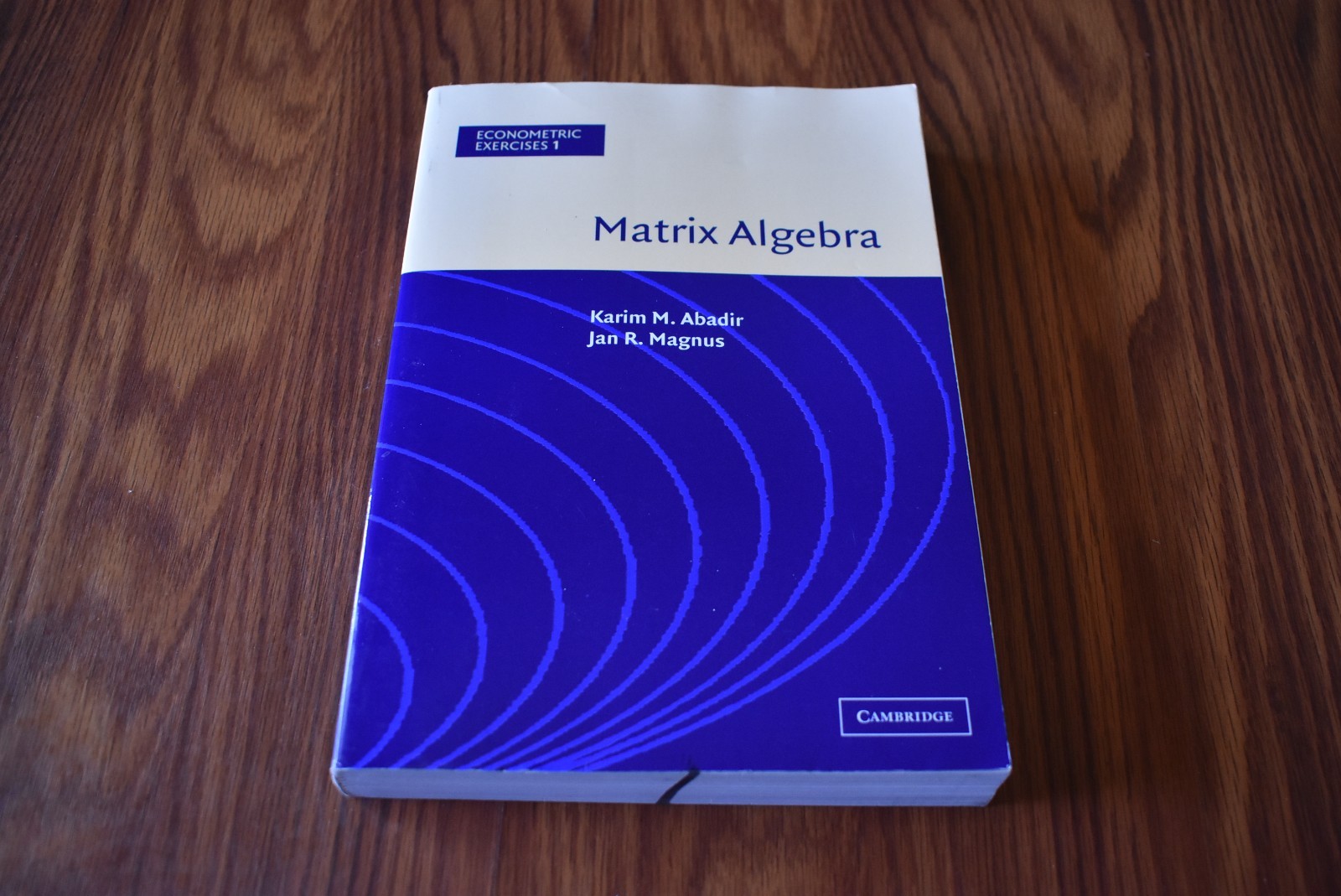 Matrix Algebra (Econometric Exercises, Vol 1) – Paperback