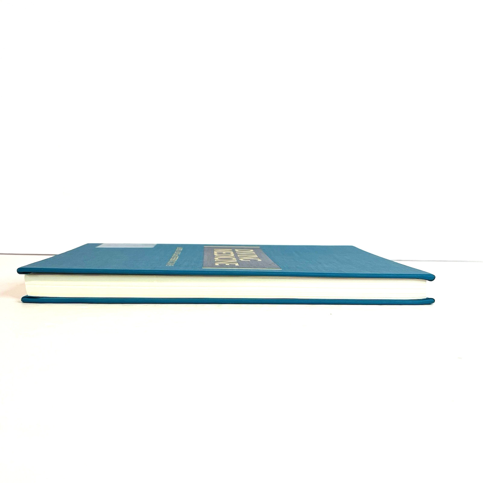 Vintage Diving Medicine Book for Divers Hardcover by Alfred A. Bove 1990