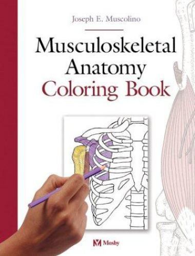 Musculoskeletal Anatomy Coloring Book, 1e – Paperback