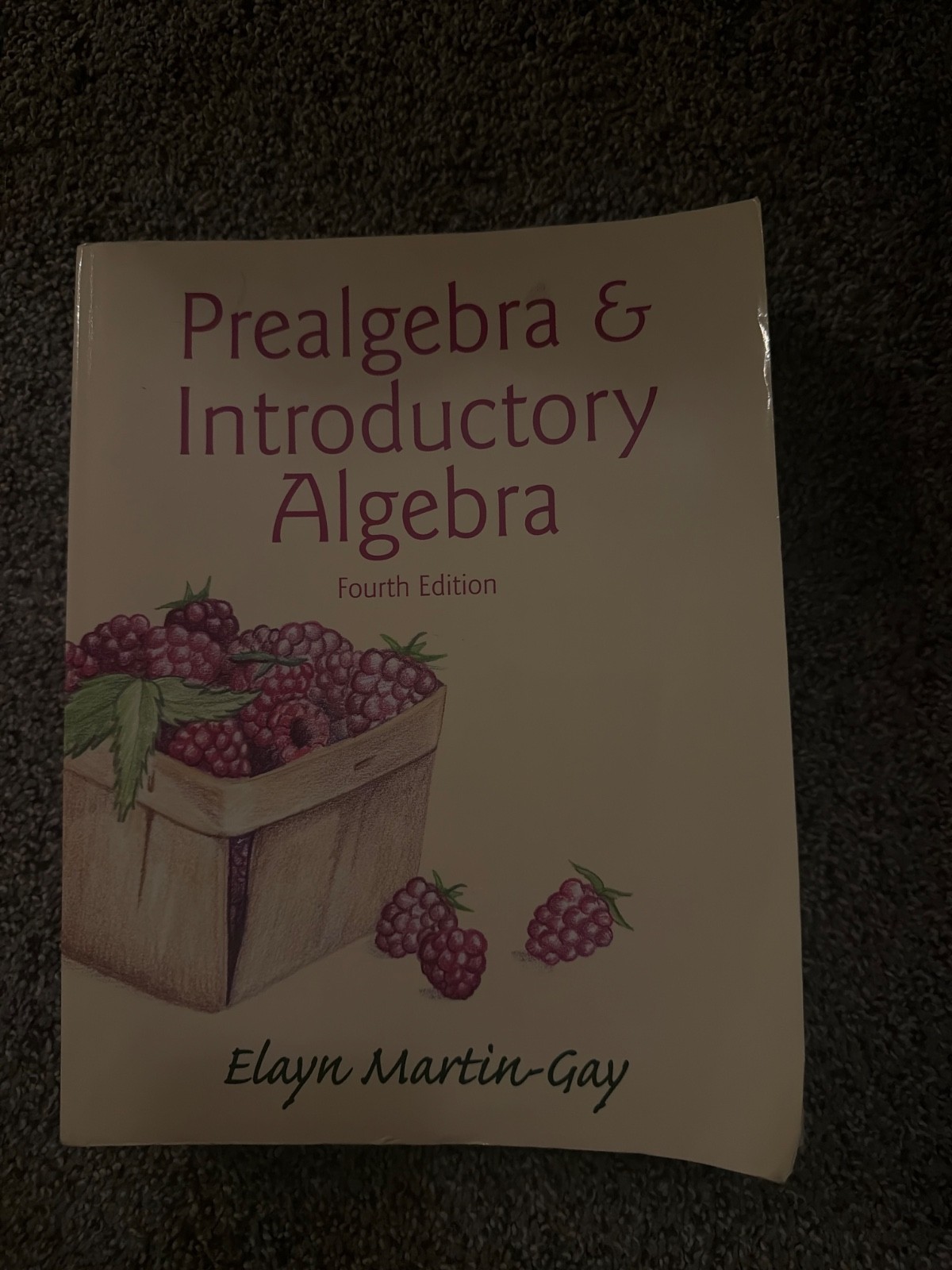 Prealgebra and Introductory Algebra by Elayn Martin-Gay (2014, Trade Paperback)