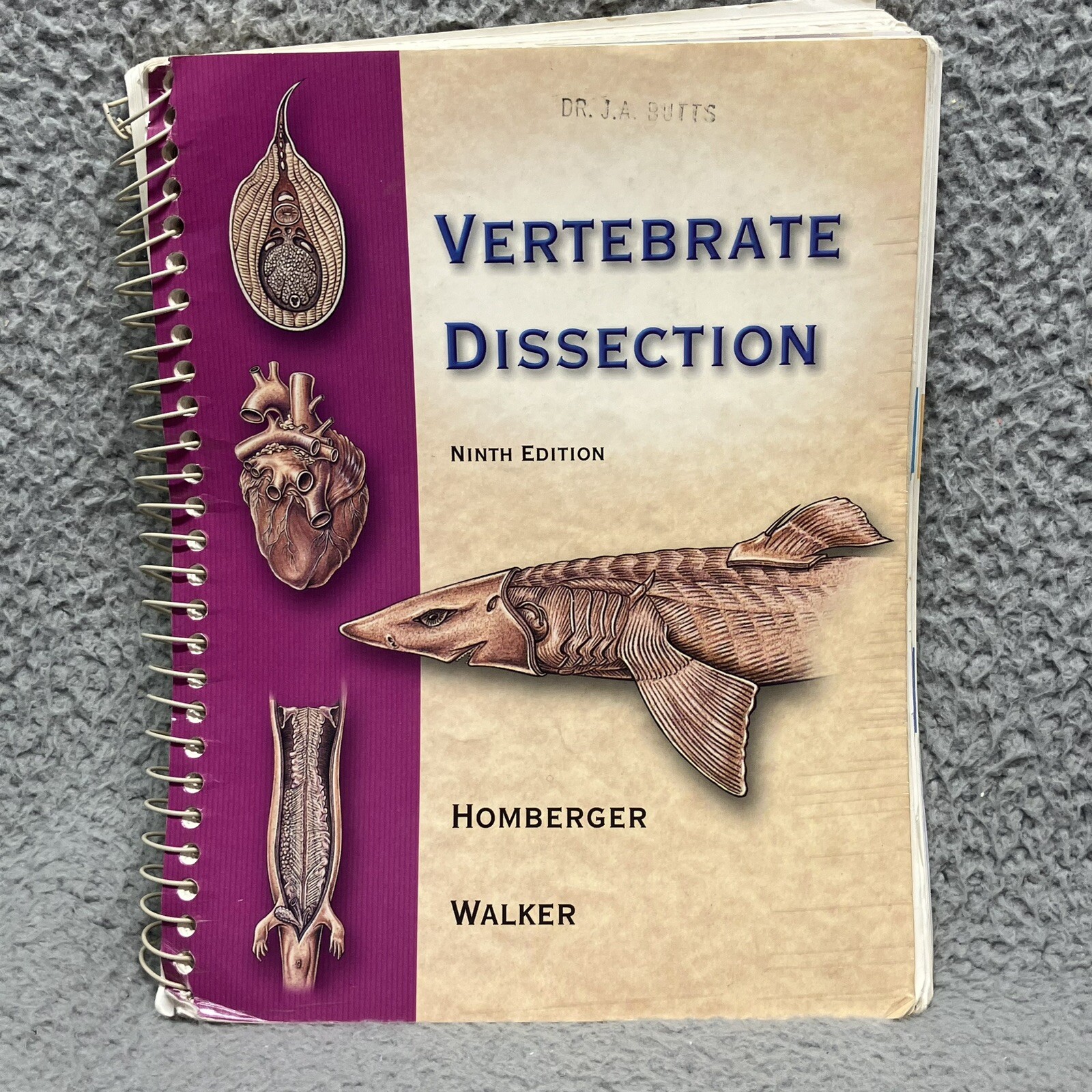 Vertebrate Dissection – Spiral-bound, by Homberger Dominique G.; – Acceptable