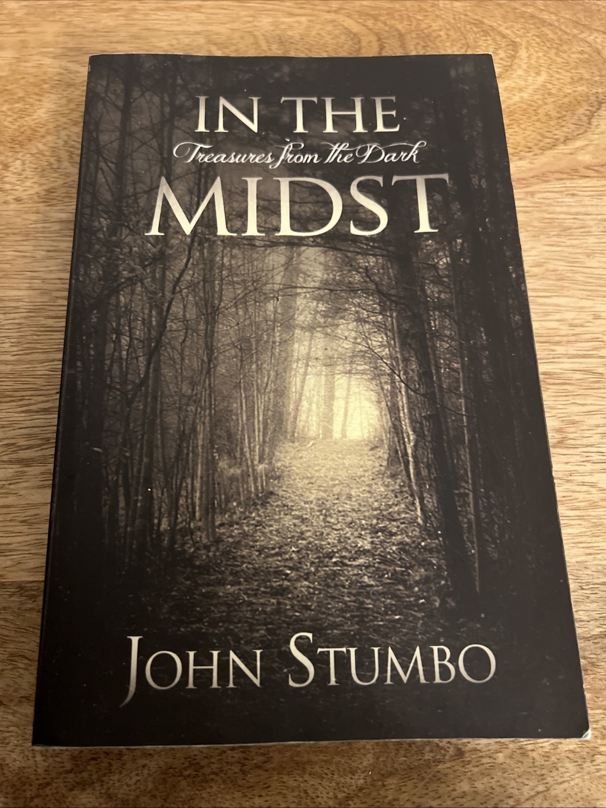 IN THE MIDST: TREASURES FROM THE DARK By John Stumbo Used