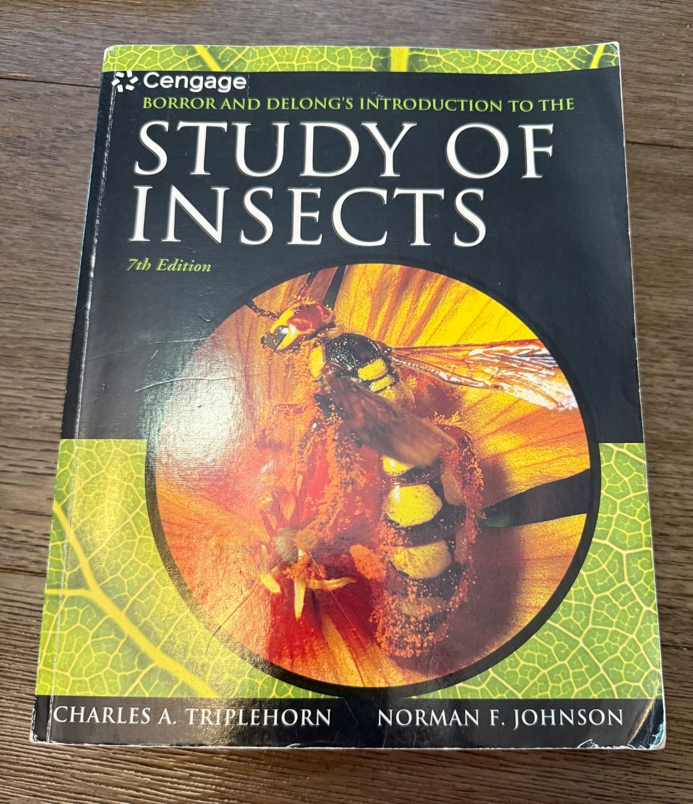 Borror and Delong’s Introduction to the Study of Insects by Norman F. Johnson…