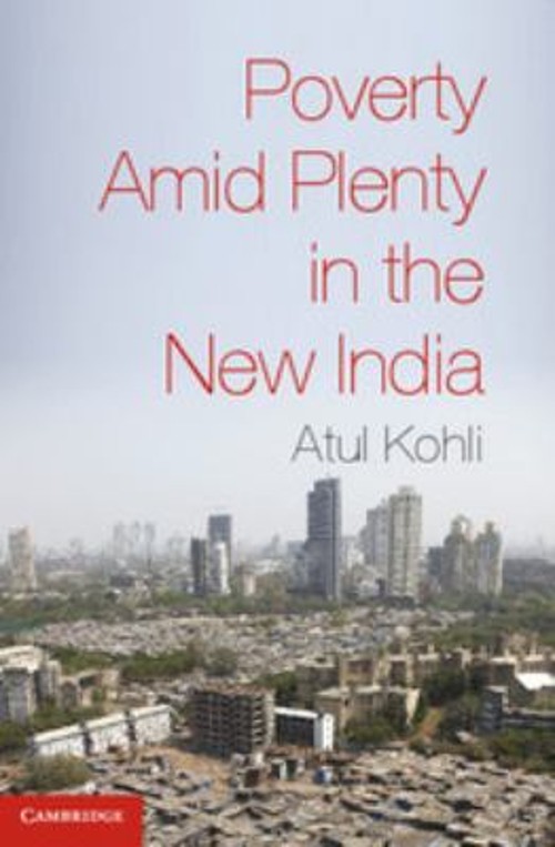 Poverty amid Plenty in the New India Paperback Atul Kohli