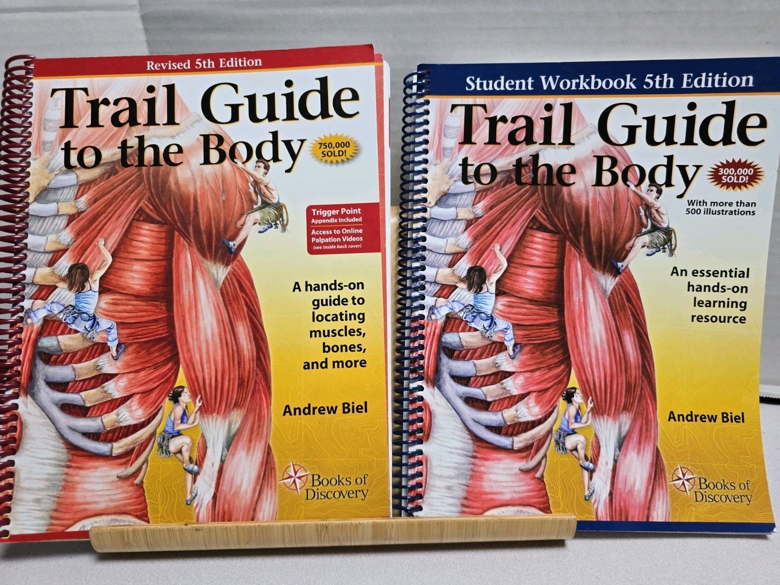 5th Edition BUNDLE Trail Guide to the Body & Student Workbook, Spiral-bound