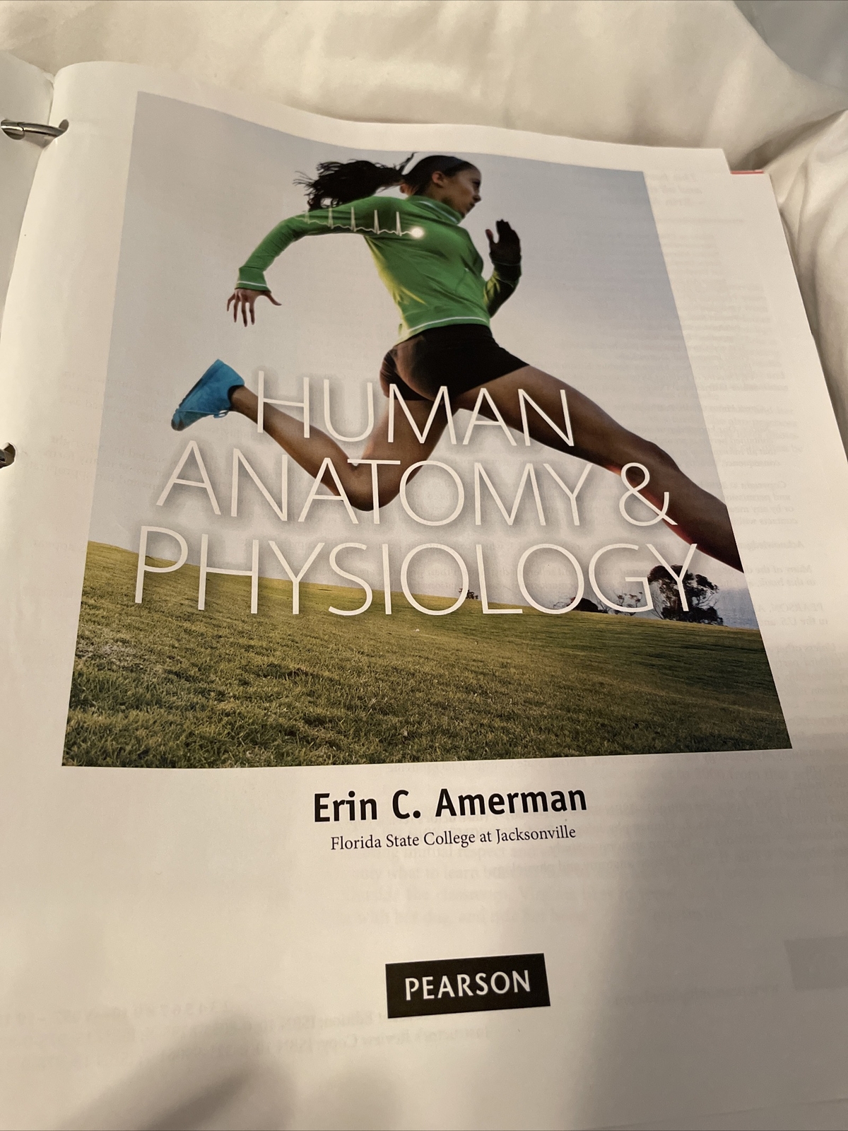 Human Anatomy & Physiology – Erin C Amerman, 080538295X, Loose leaf
