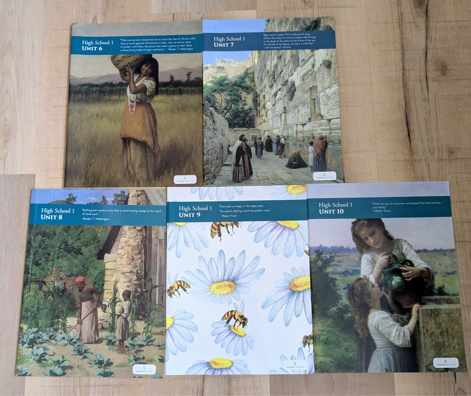 Good And Beautiful High School 1 Book Pack + Grammar Guide + Cards + Booklets