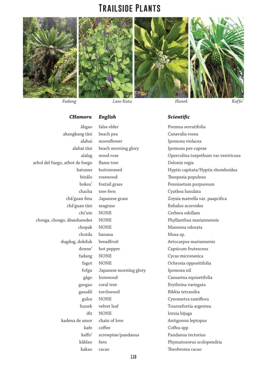 The Best Tracks on Guam A Guide to Hiking Trails, Fourth Edition