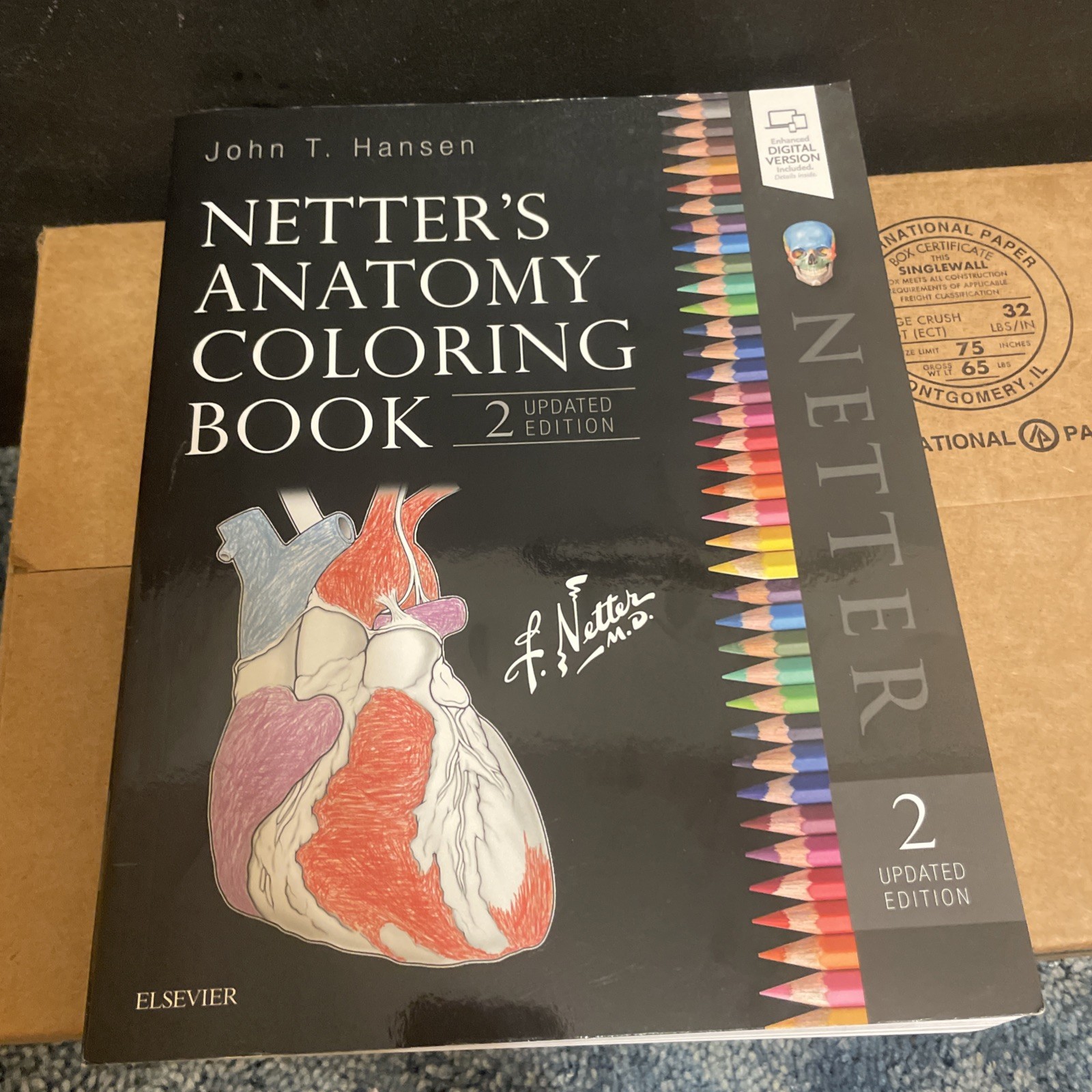 Netter’s Anatomy Coloring Book Updated Edition by Medicos Club Like-New