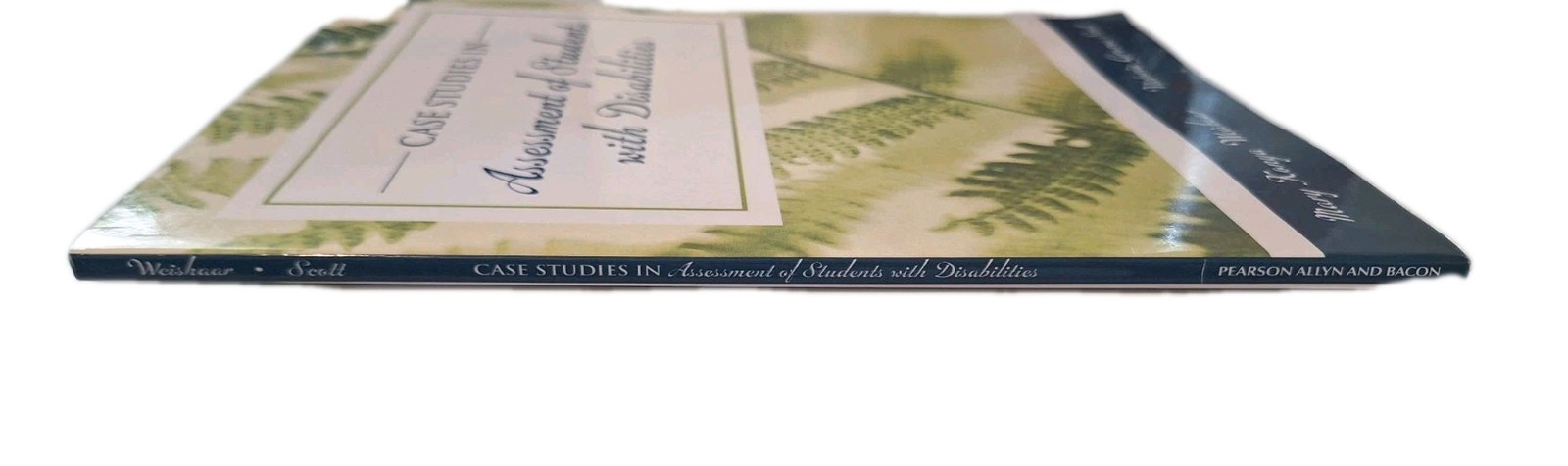 Cases in Special Education Assessment by Mary Weishaar and Victoria Scott (2004,
